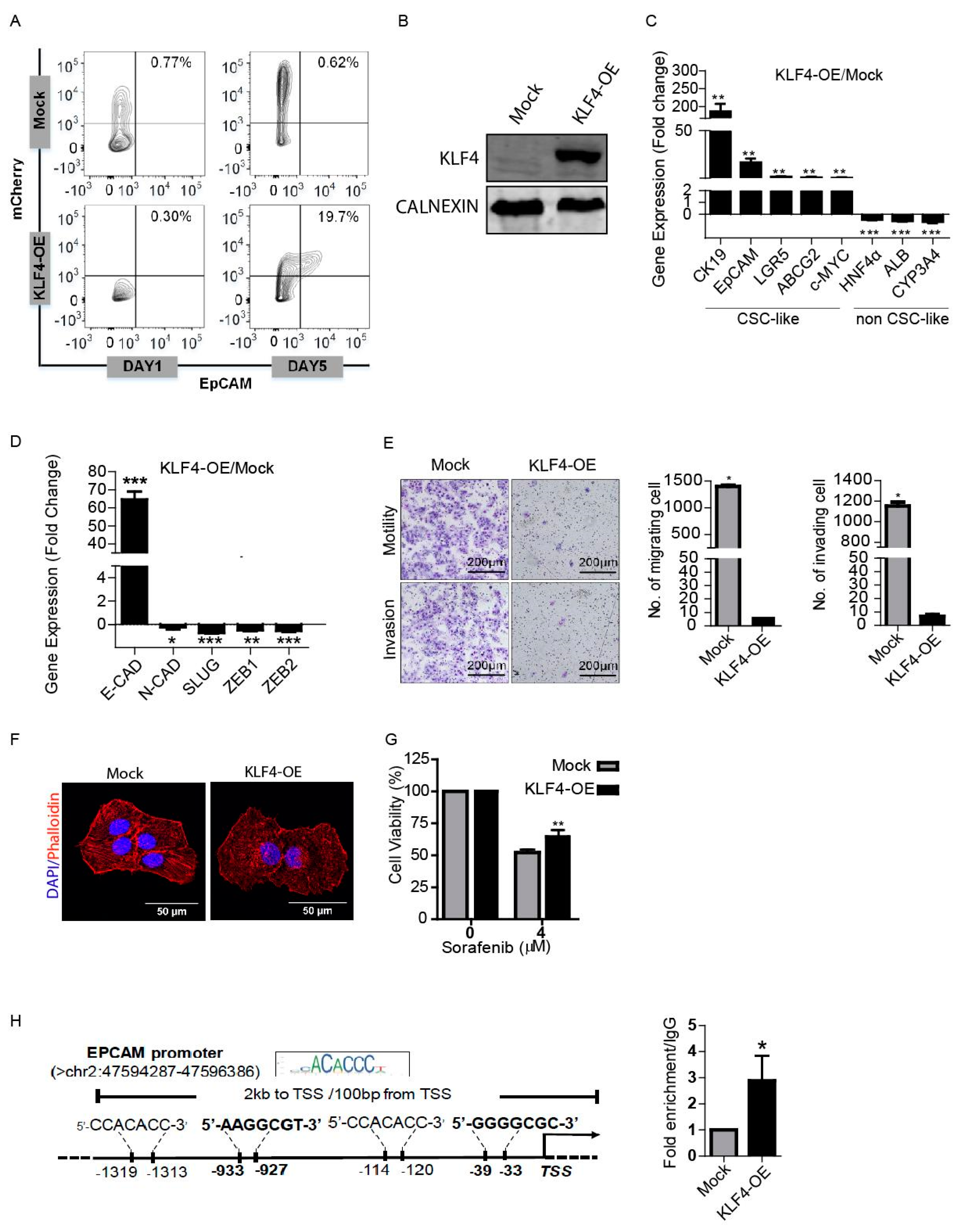 Cells 09 01198 g002 Cells 09 01198 g002