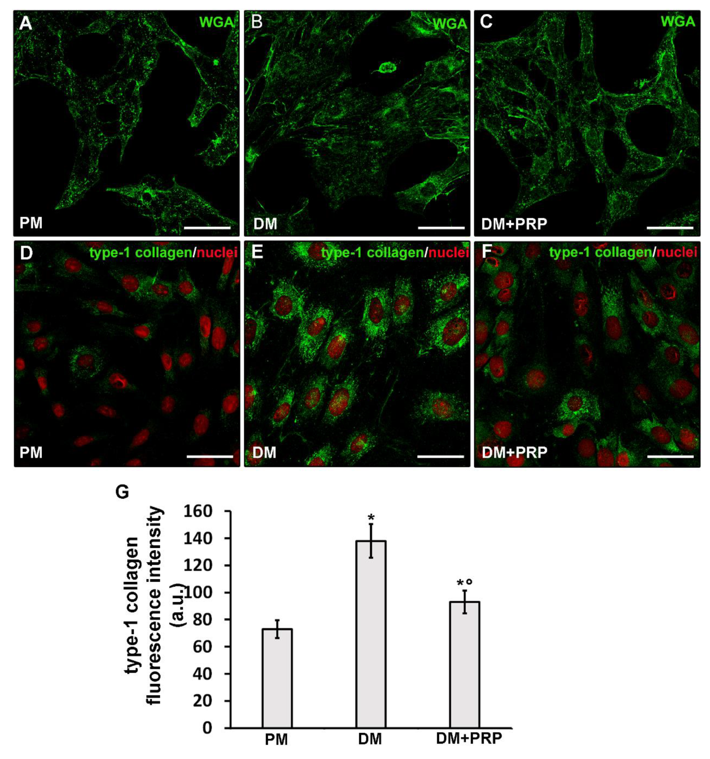 Cells 09 01199 g002 Cells 09 01199 g002
