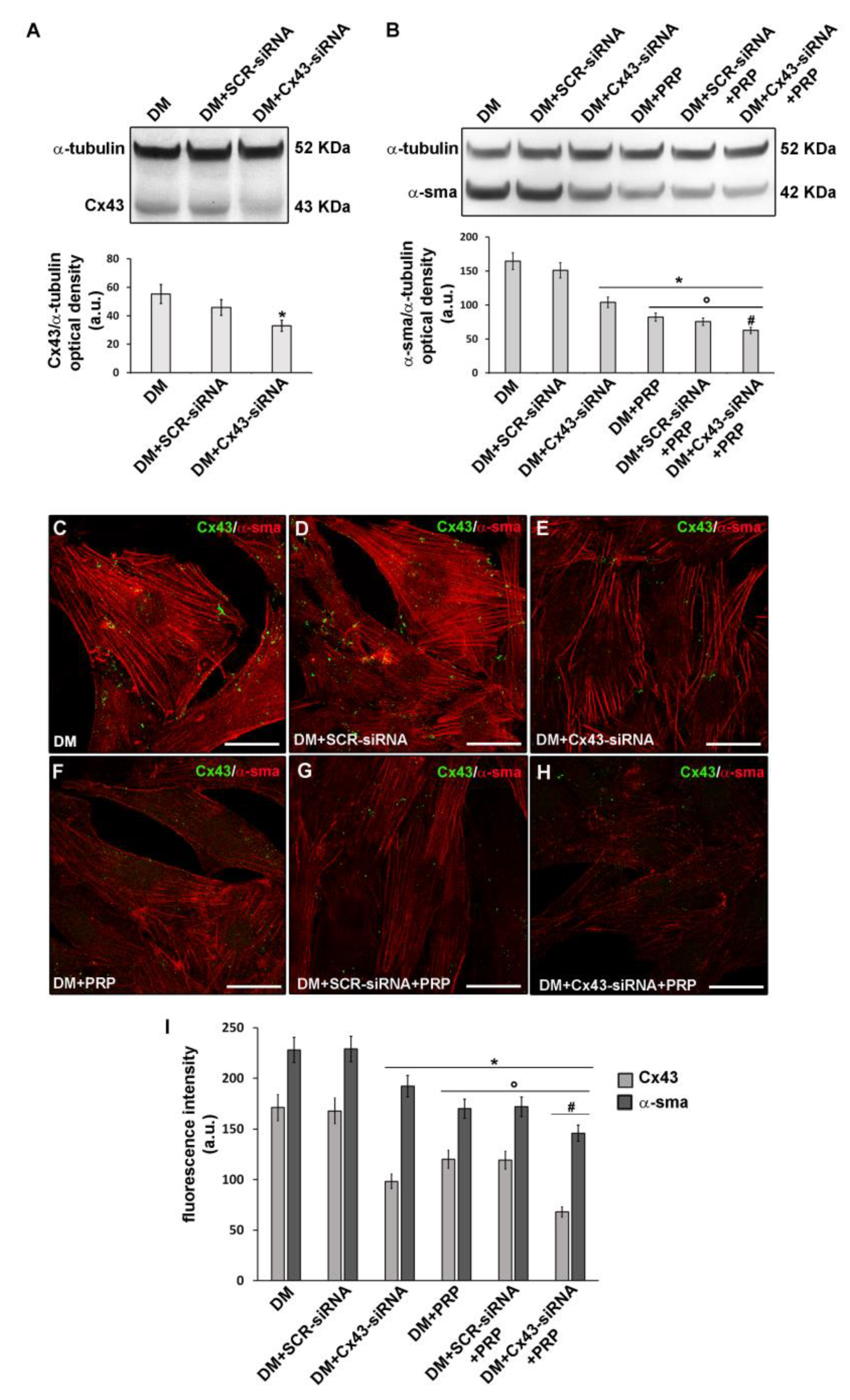 Cells 09 01199 g009 Cells 09 01199 g009