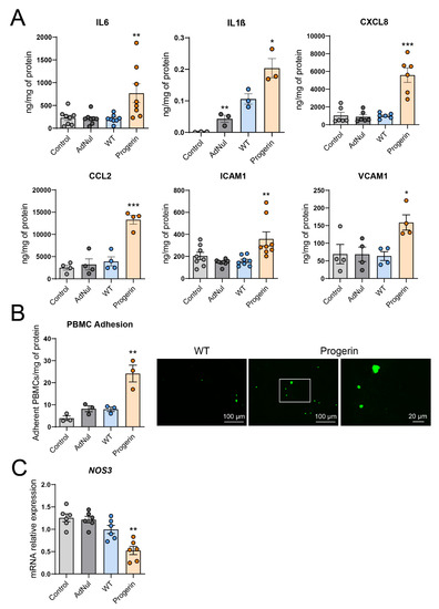 Progerin Expression Induces Inflammation, Oxidative Stress and ...
