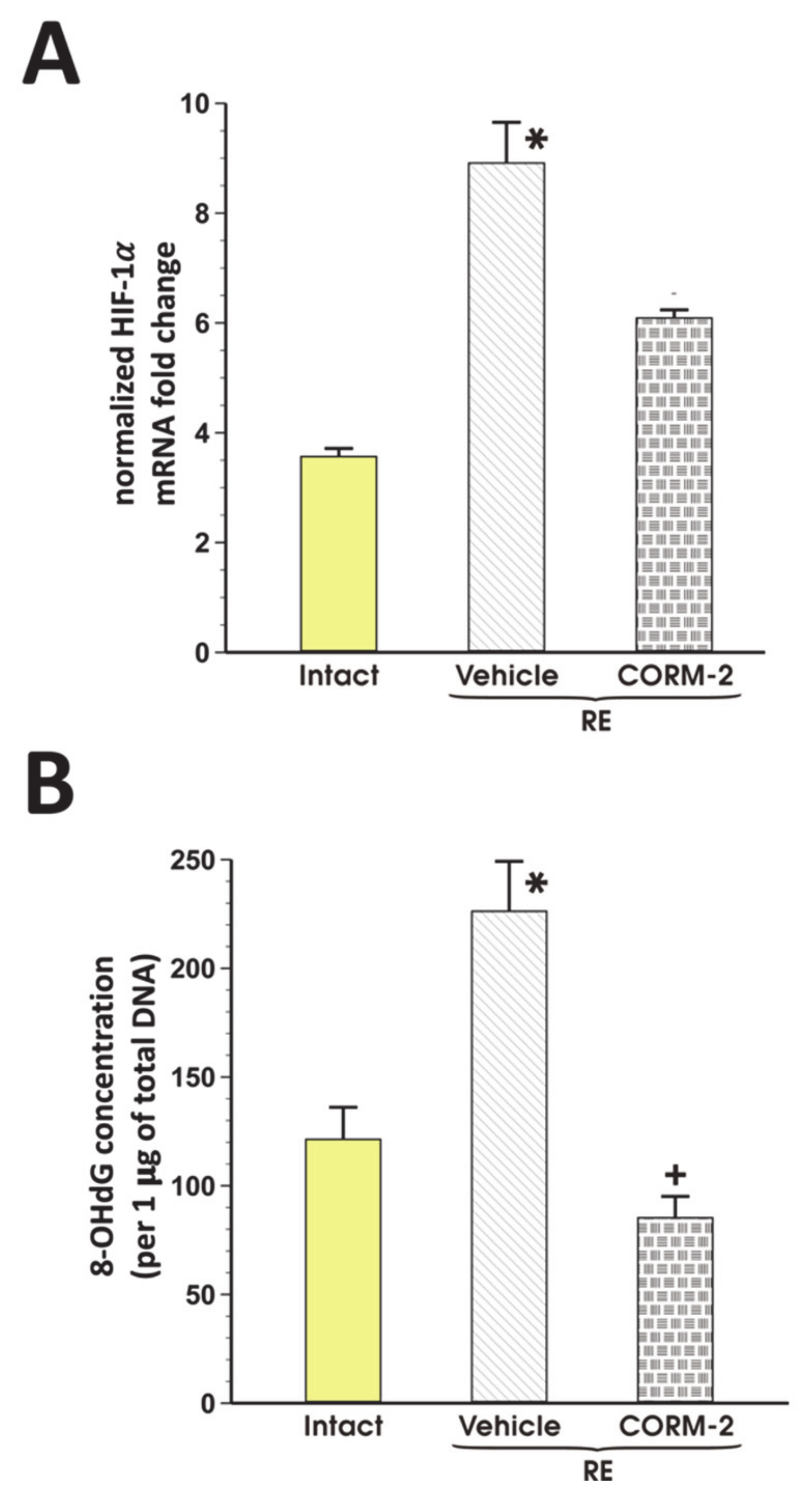 Cells 09 01203 g005 Cells 09 01203 g005