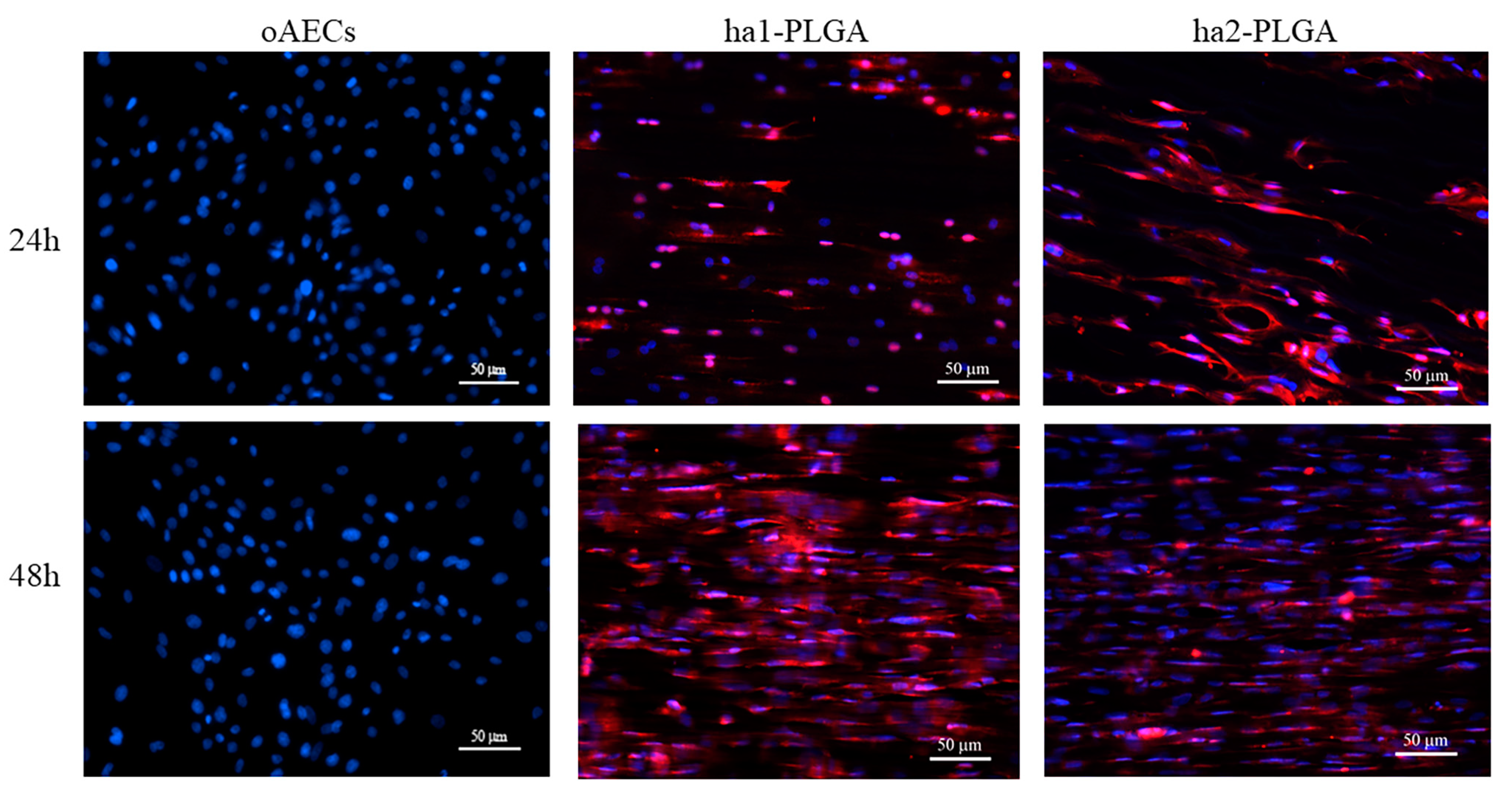 Cells 09 01207 g008 Cells 09 01207 g008