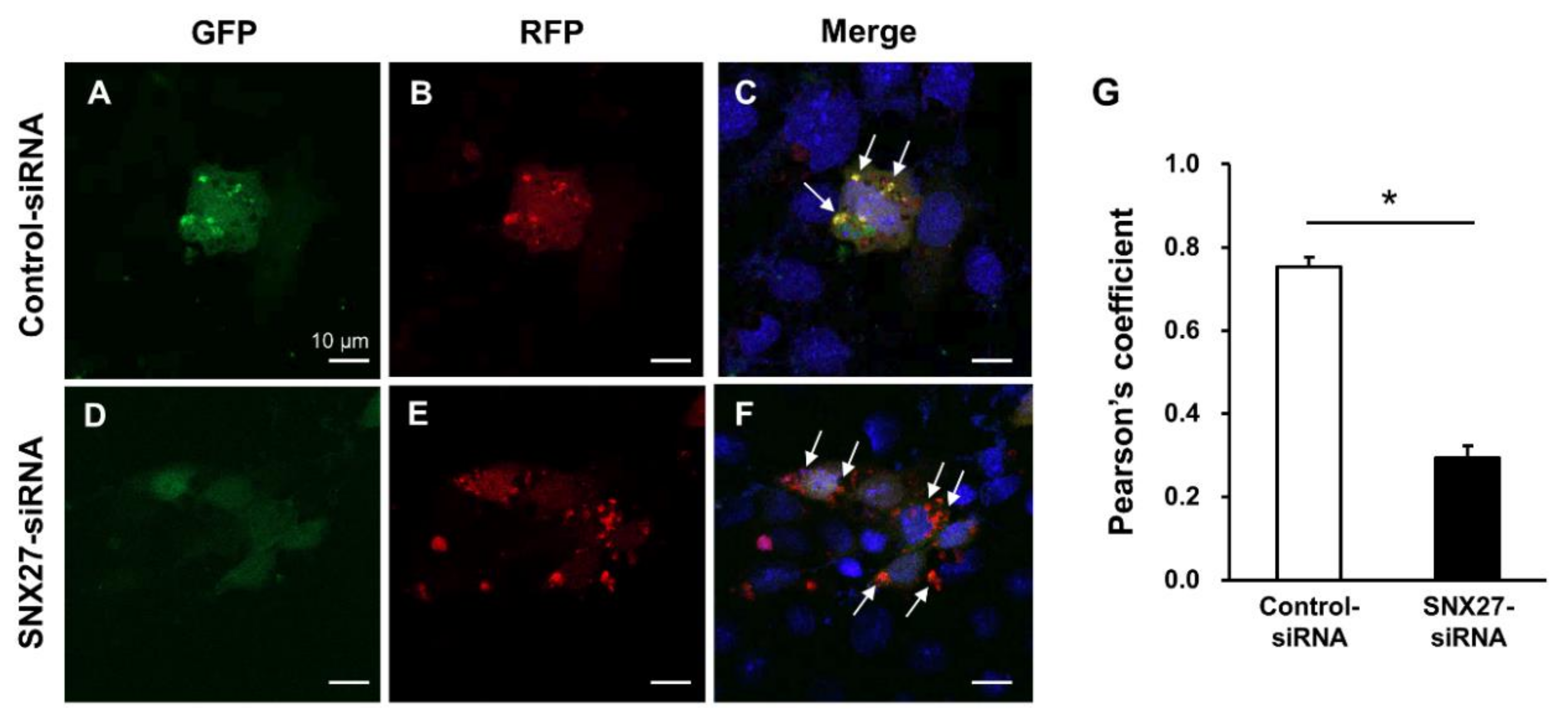 Cells 09 01208 g009a