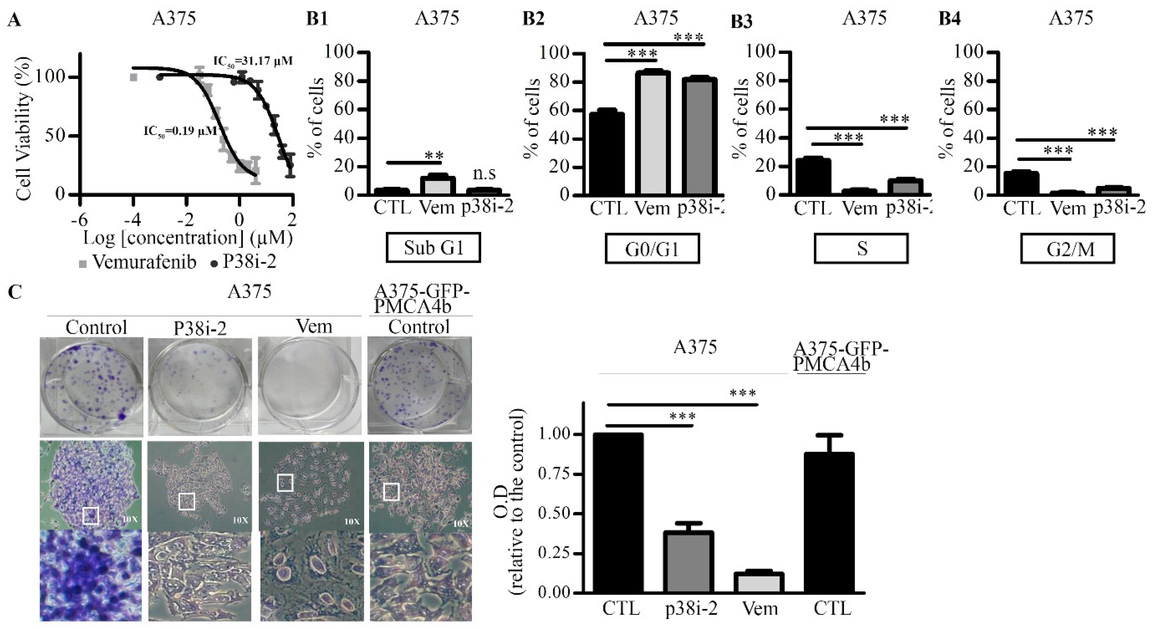 Cells 09 01209 g005 Cells 09 01209 g005