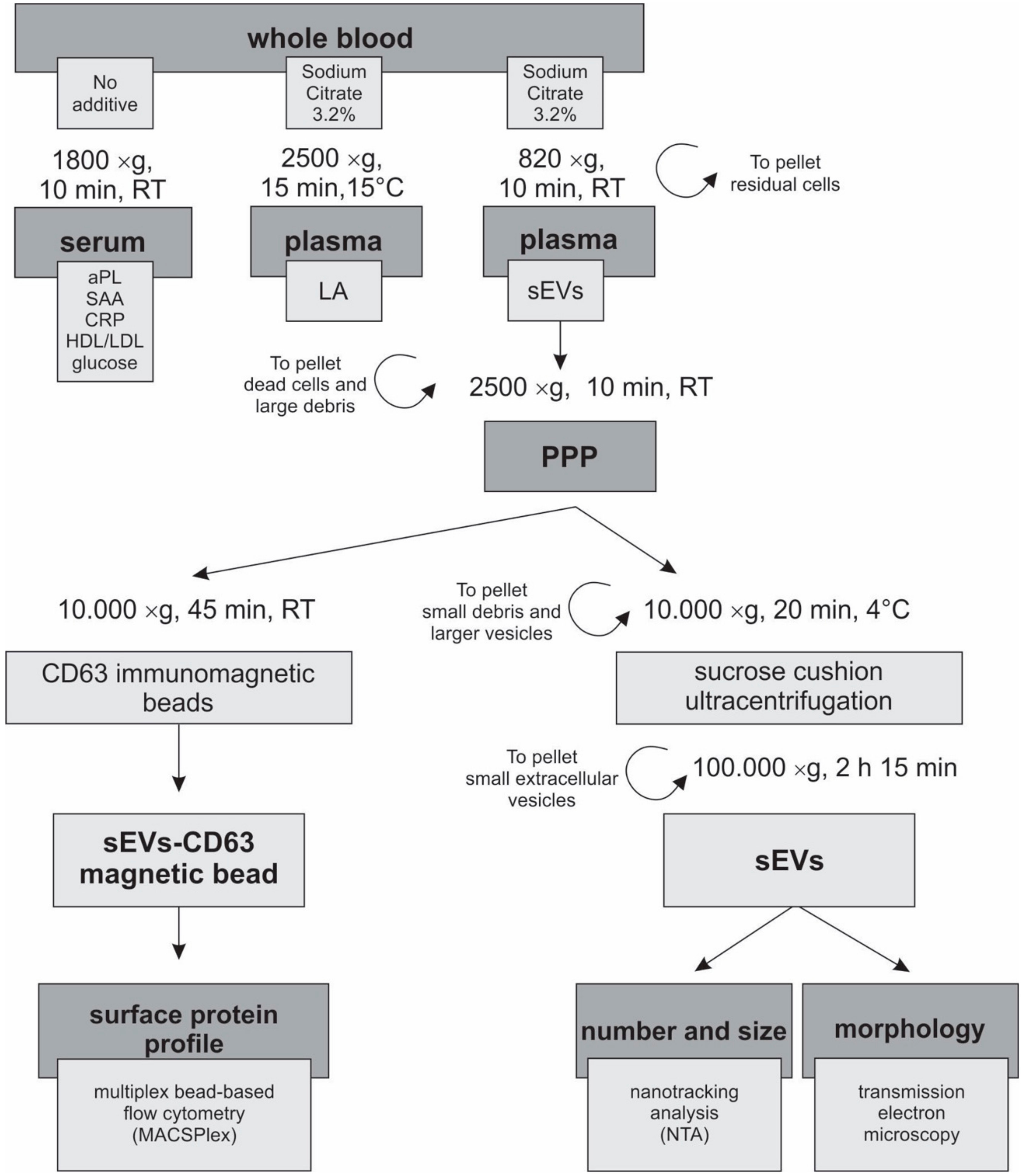 Cells Free Full Text Characterization Of Plasma Derived Small Extracellular Vesicles Indicates Ongoing Endothelial And Platelet Activation In Patients With Thrombotic Antiphospholipid Syndrome Html