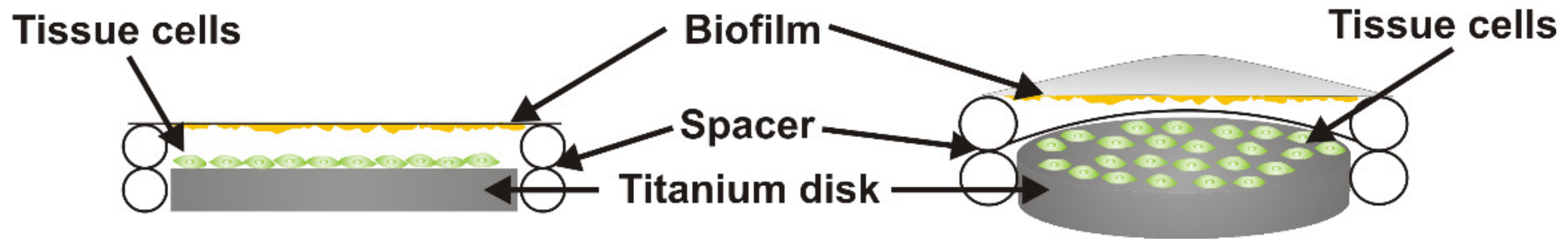 Cells 09 01226 g001