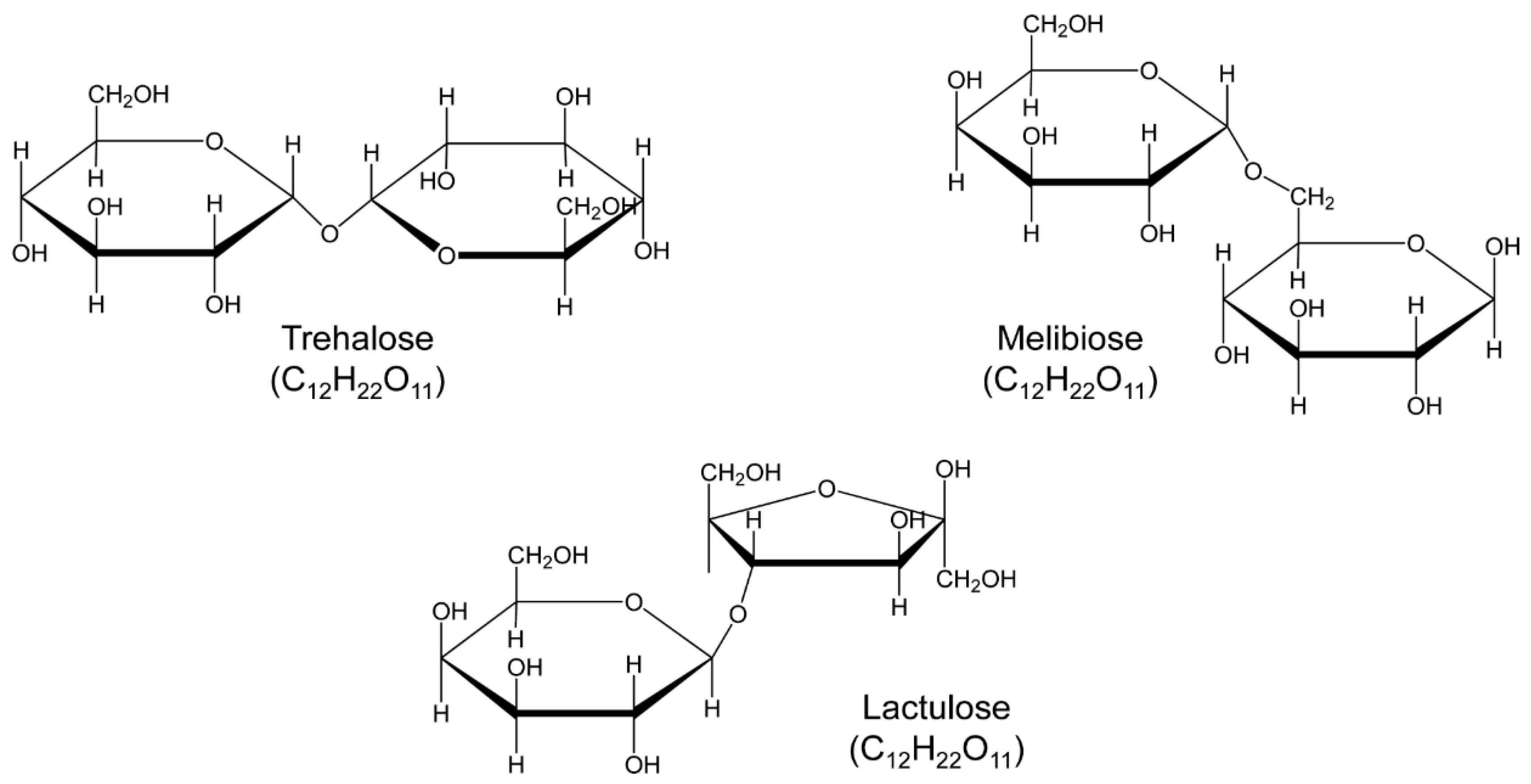 Cells 09 01230 g001 Cells 09 01230 g001