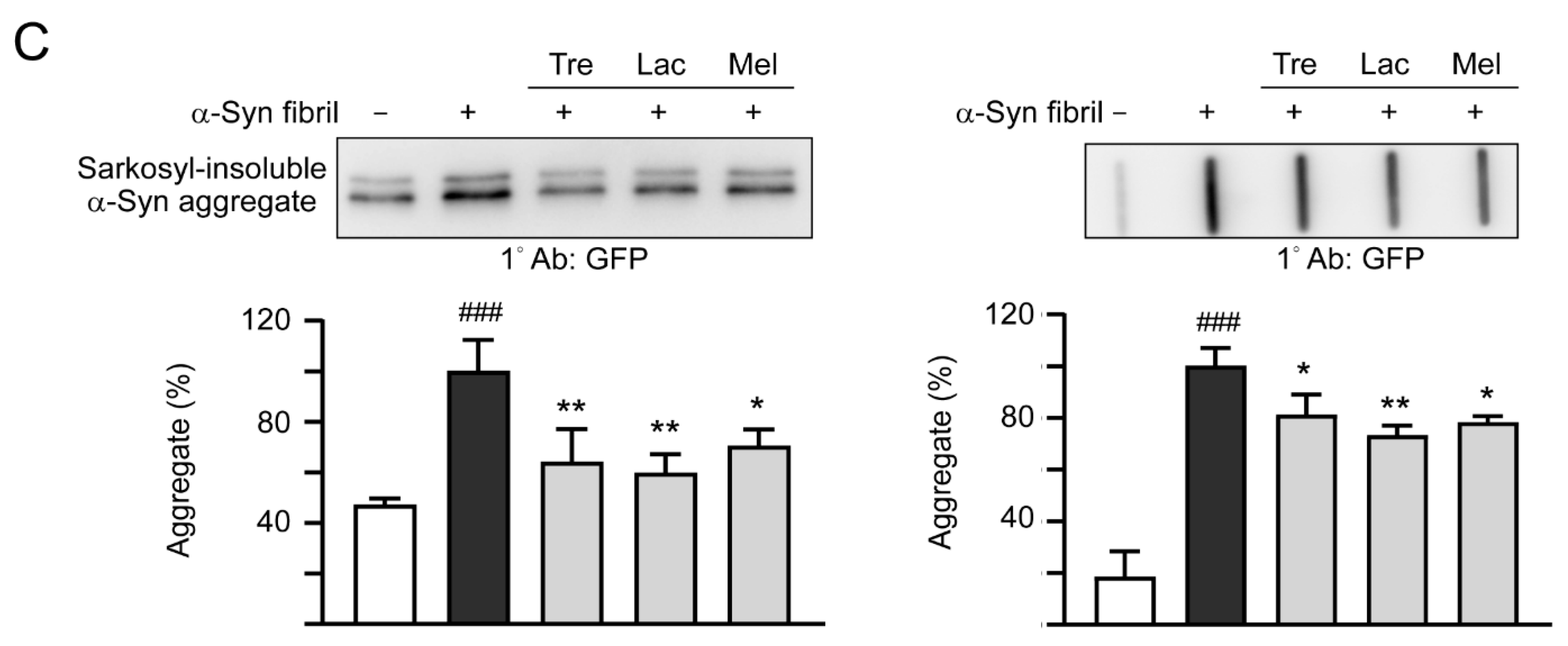 Cells 09 01230 g005b Cells 09 01230 g005b