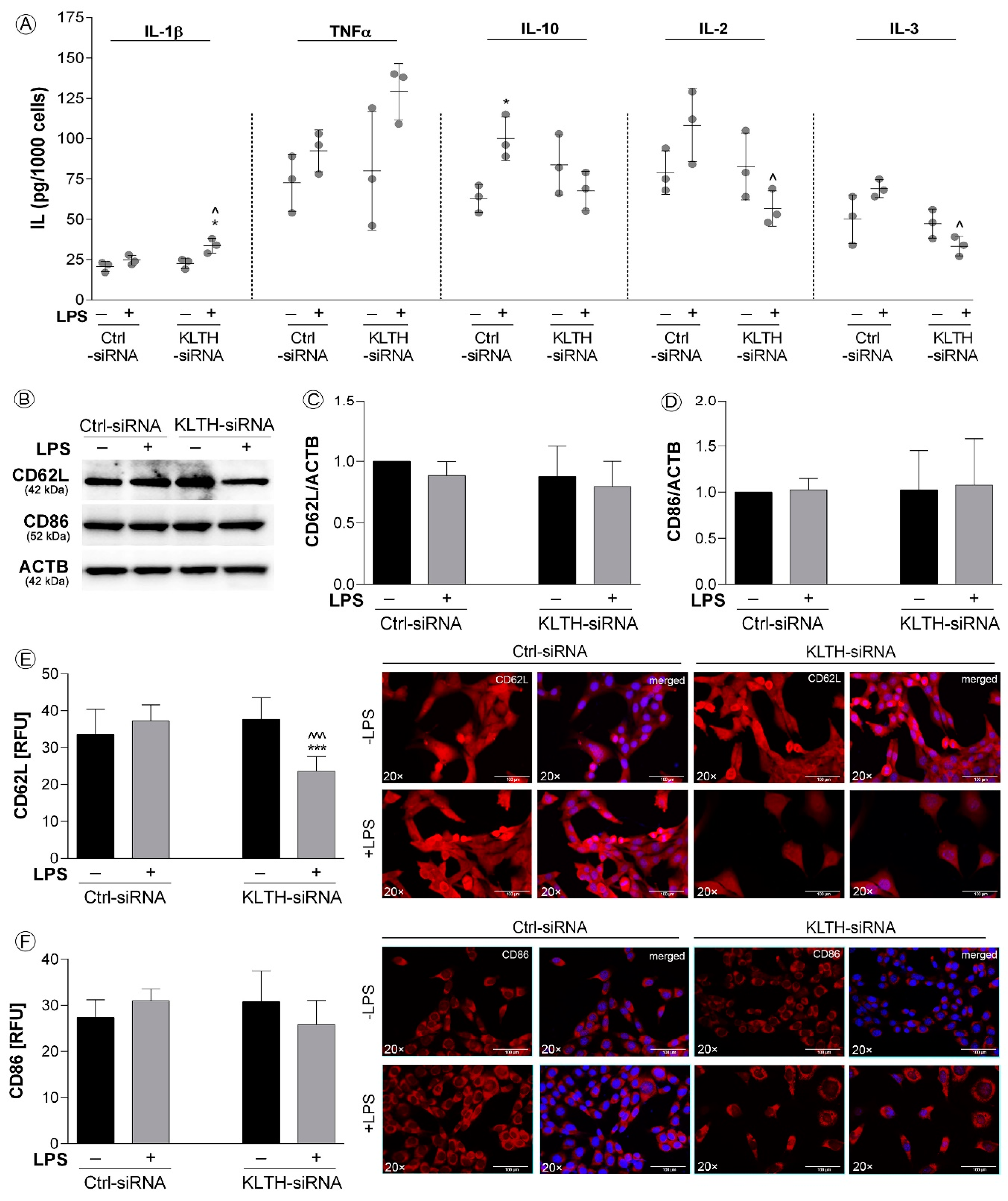 Cells 09 01231 g005a