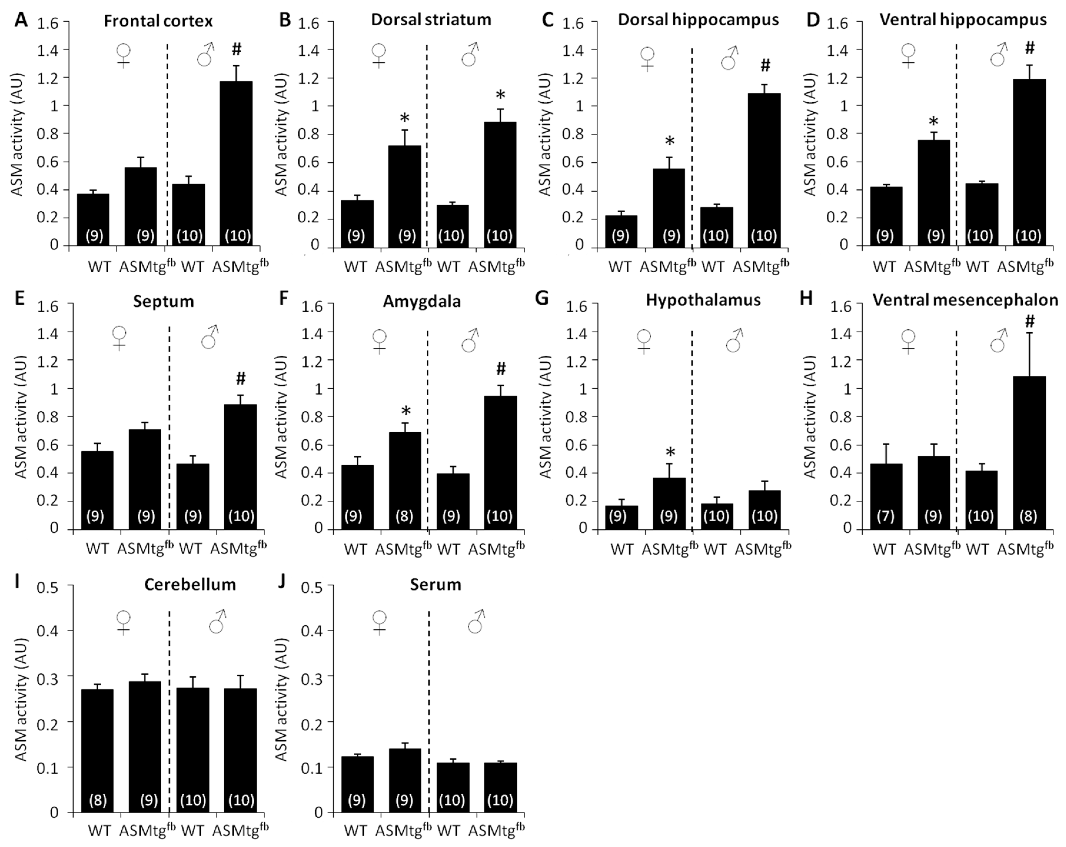 Cells 09 01244 g002 Cells 09 01244 g002