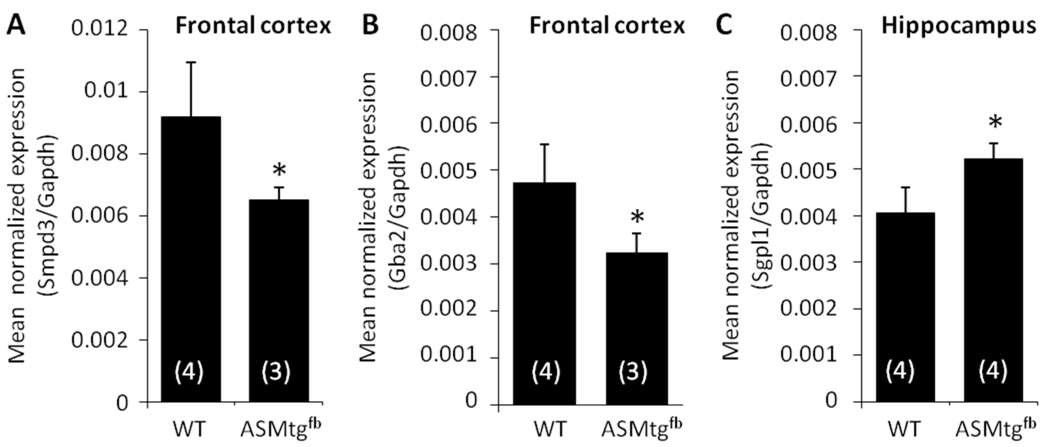 Cells 09 01244 g004 Cells 09 01244 g004