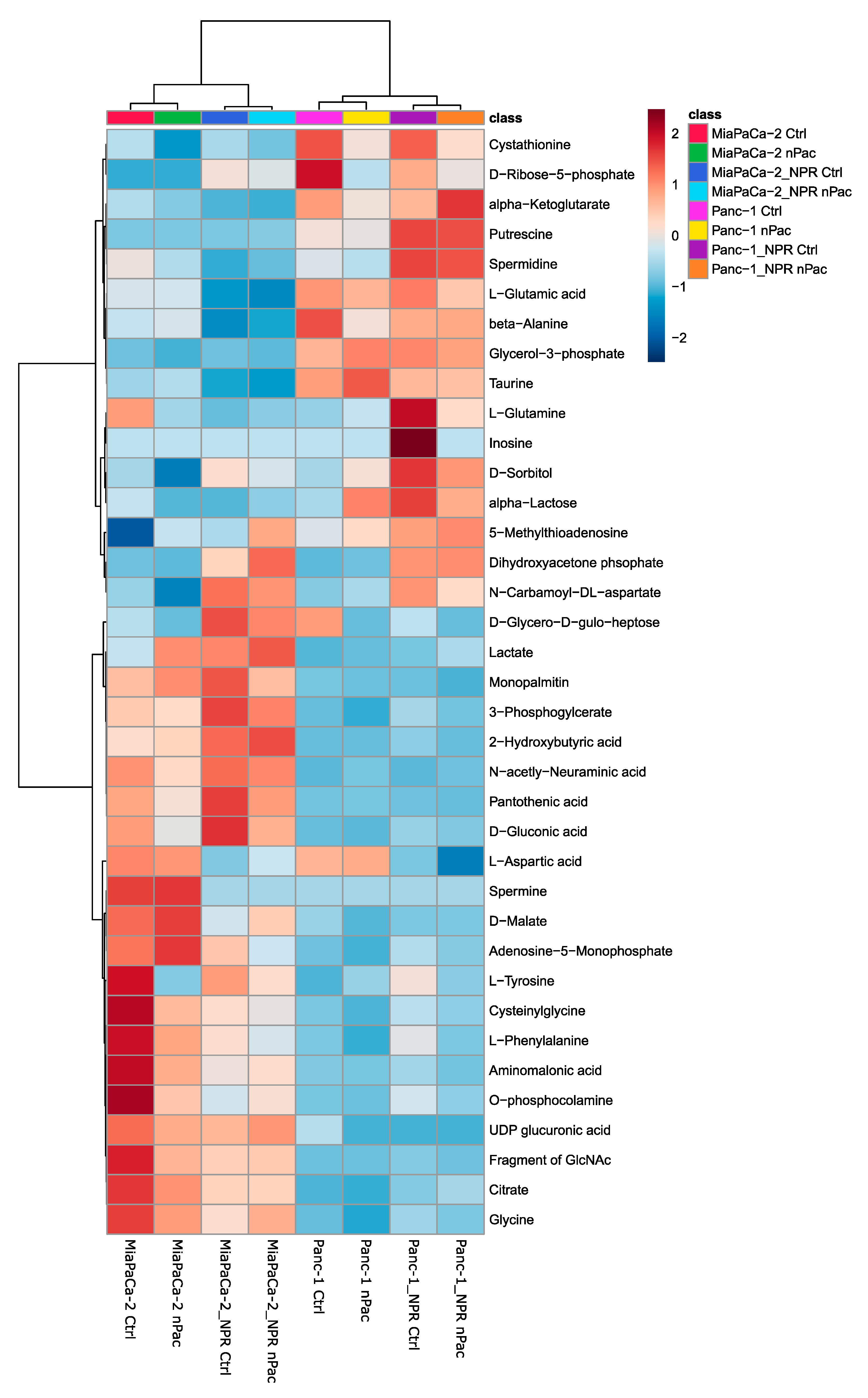 Cells 09 01251 g004 Cells 09 01251 g004