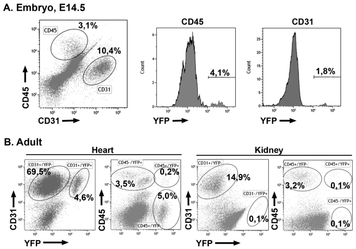 Cells 09 01257 g005 Cells 09 01257 g005