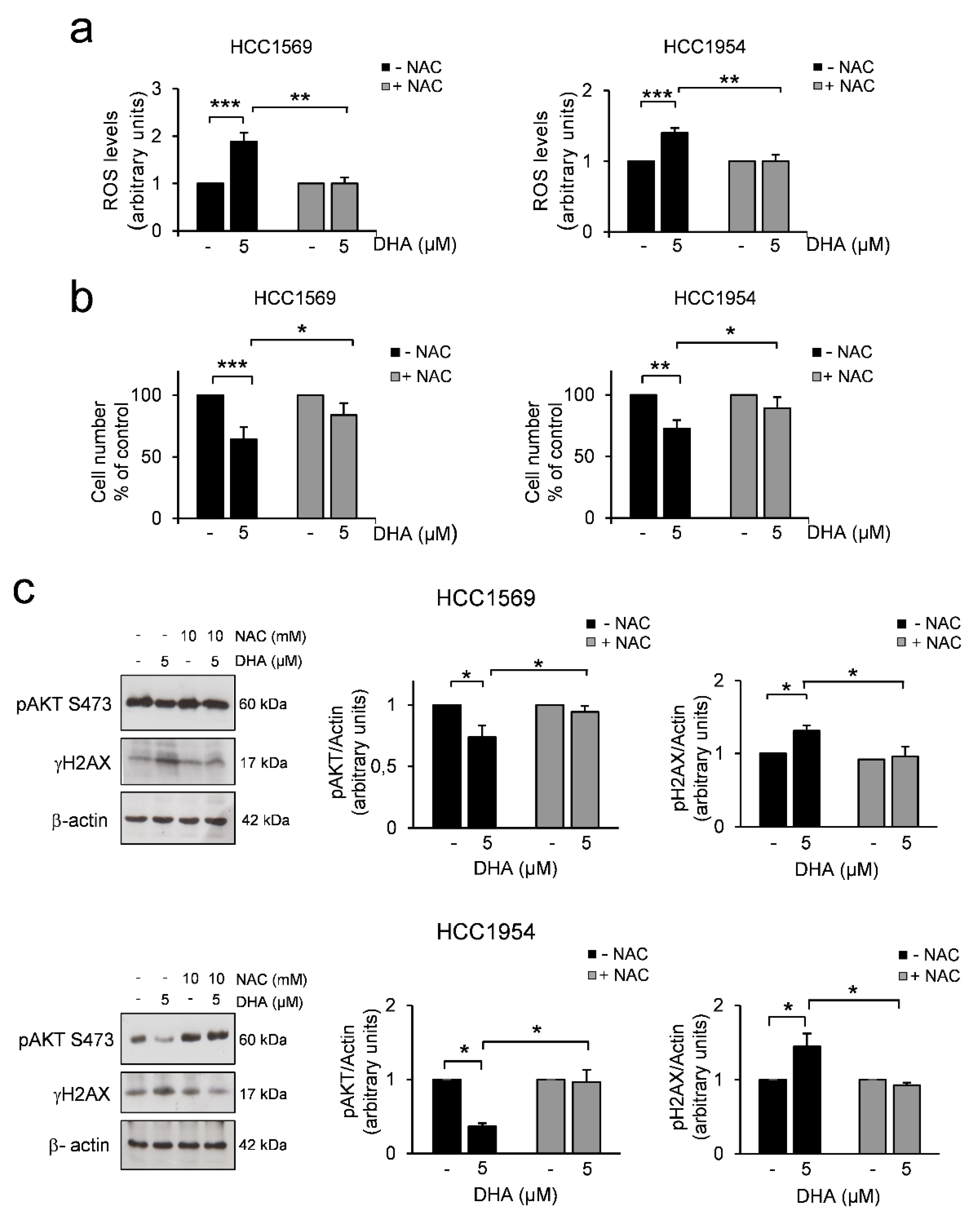 Cells 09 01260 g002 Cells 09 01260 g002