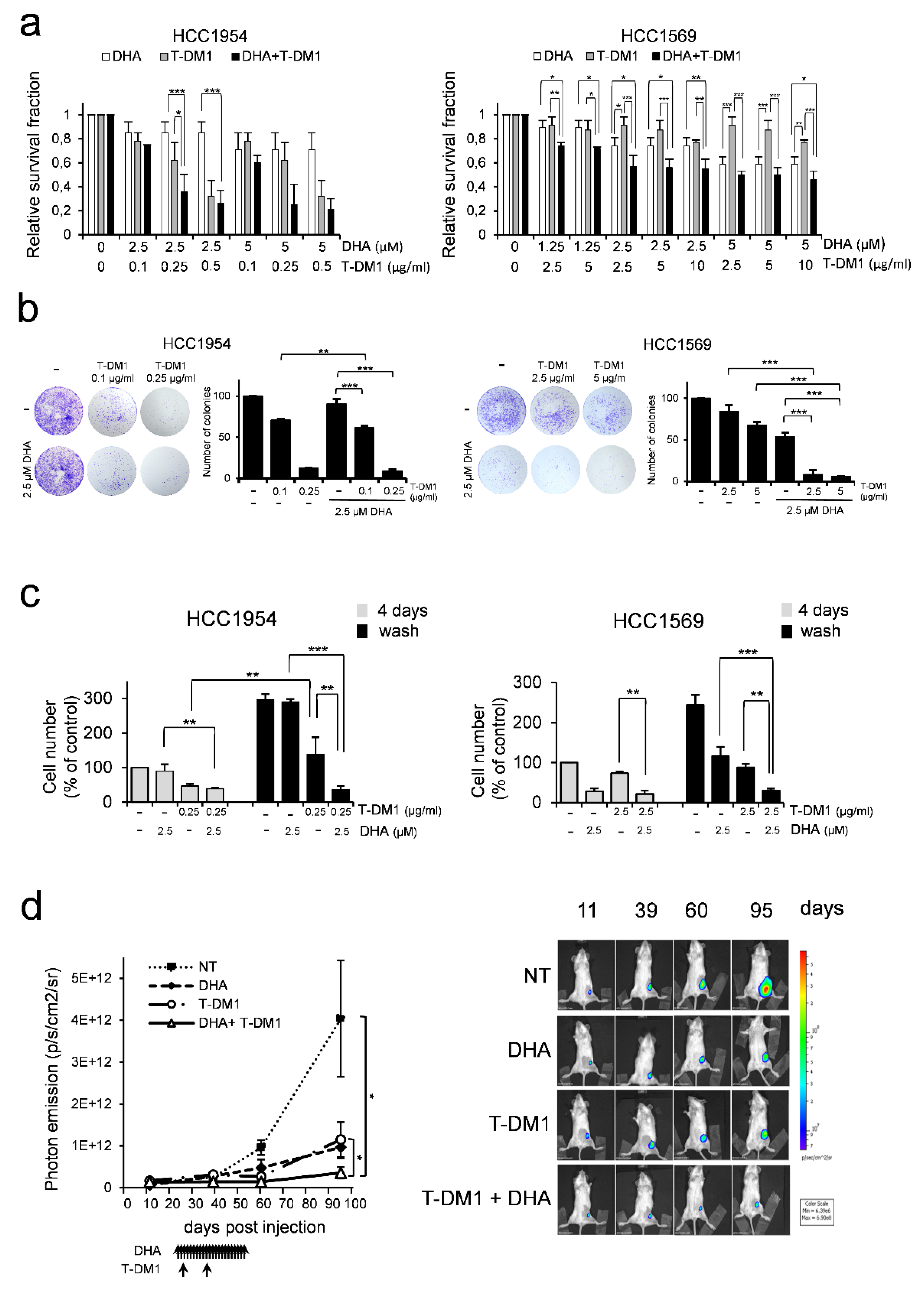 Cells 09 01260 g004 Cells 09 01260 g004