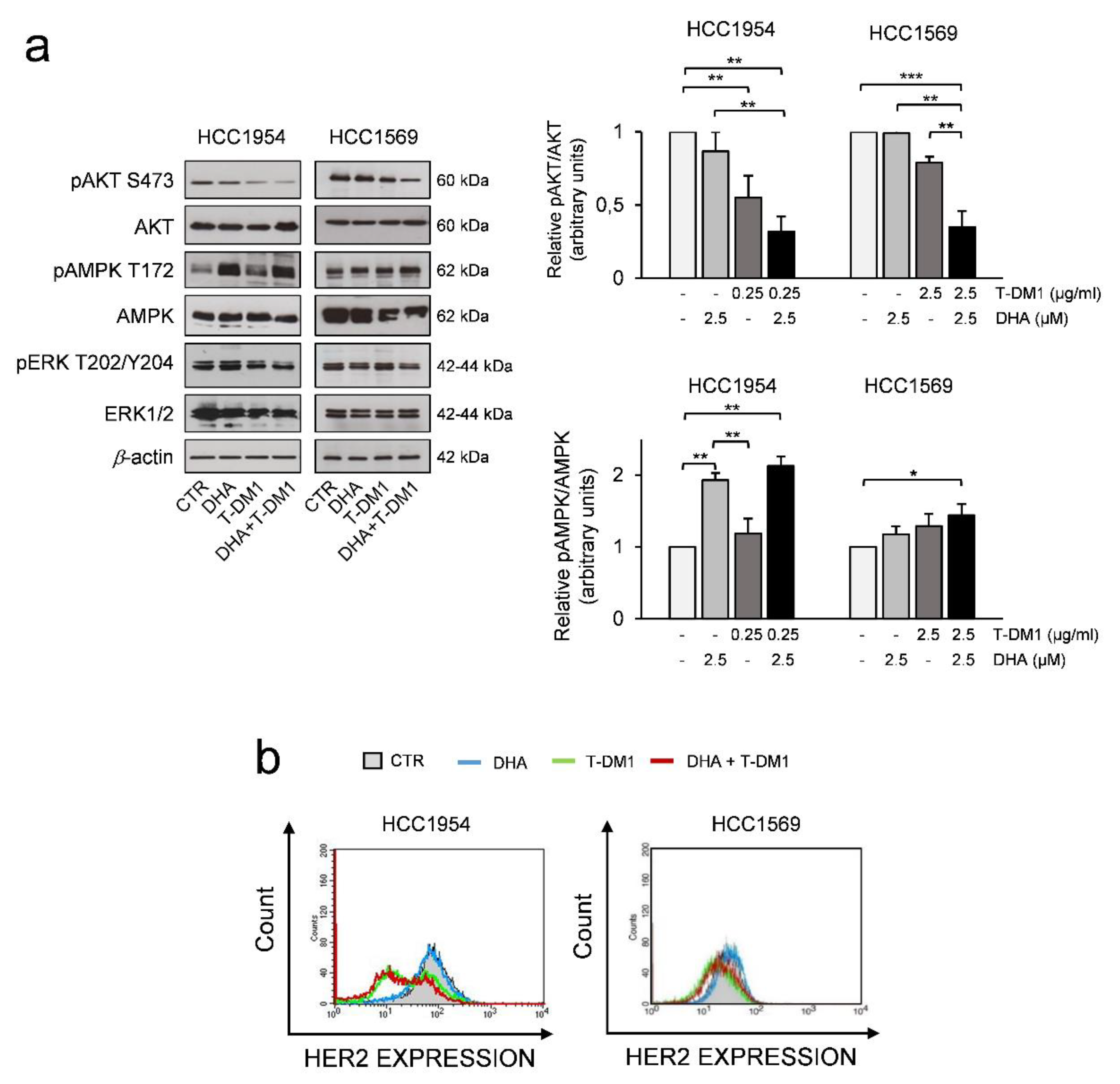 t dm1 breast cancer t dm1 breast cancer