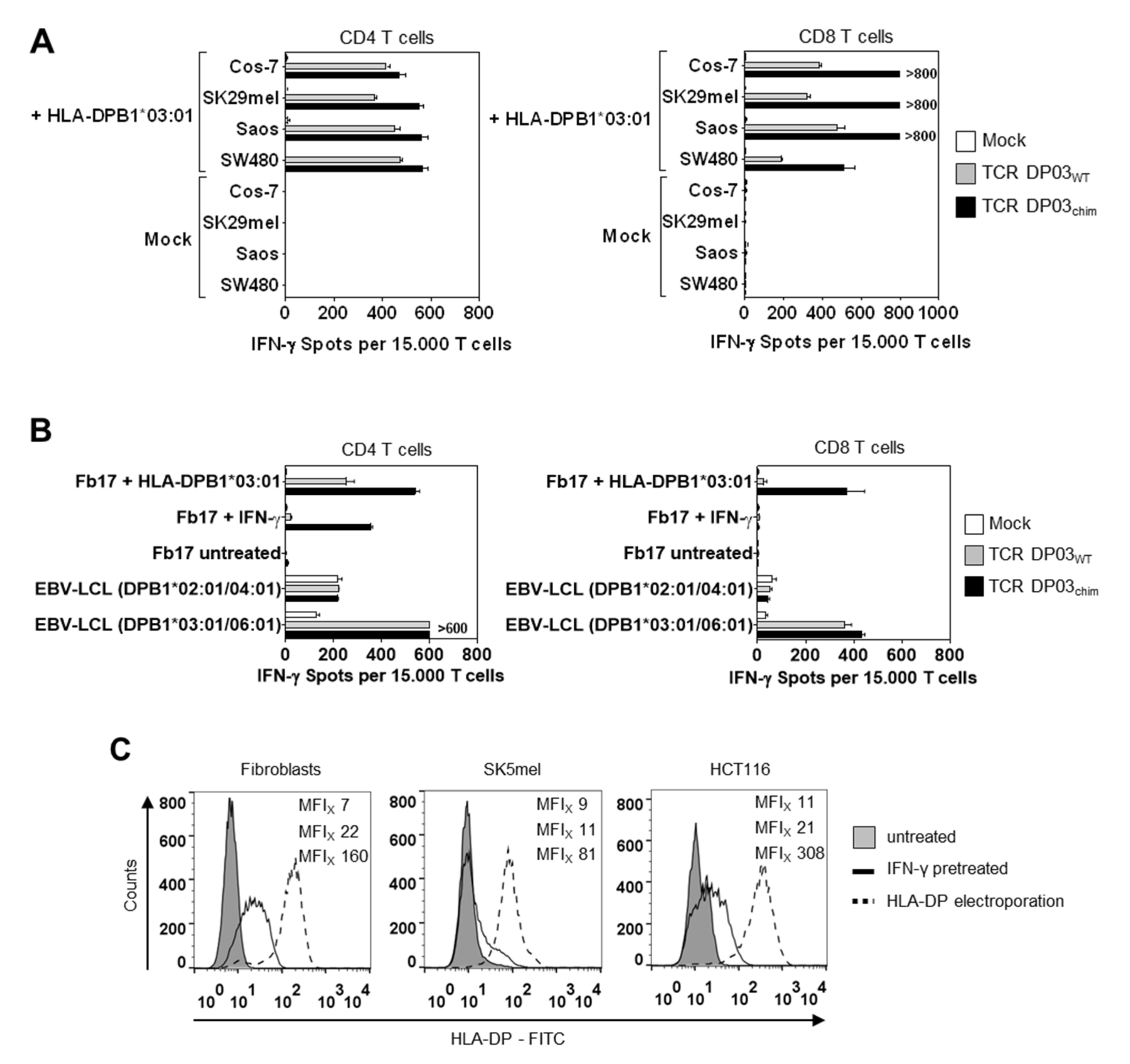 Cells 09 01264 g005a Cells 09 01264 g005a
