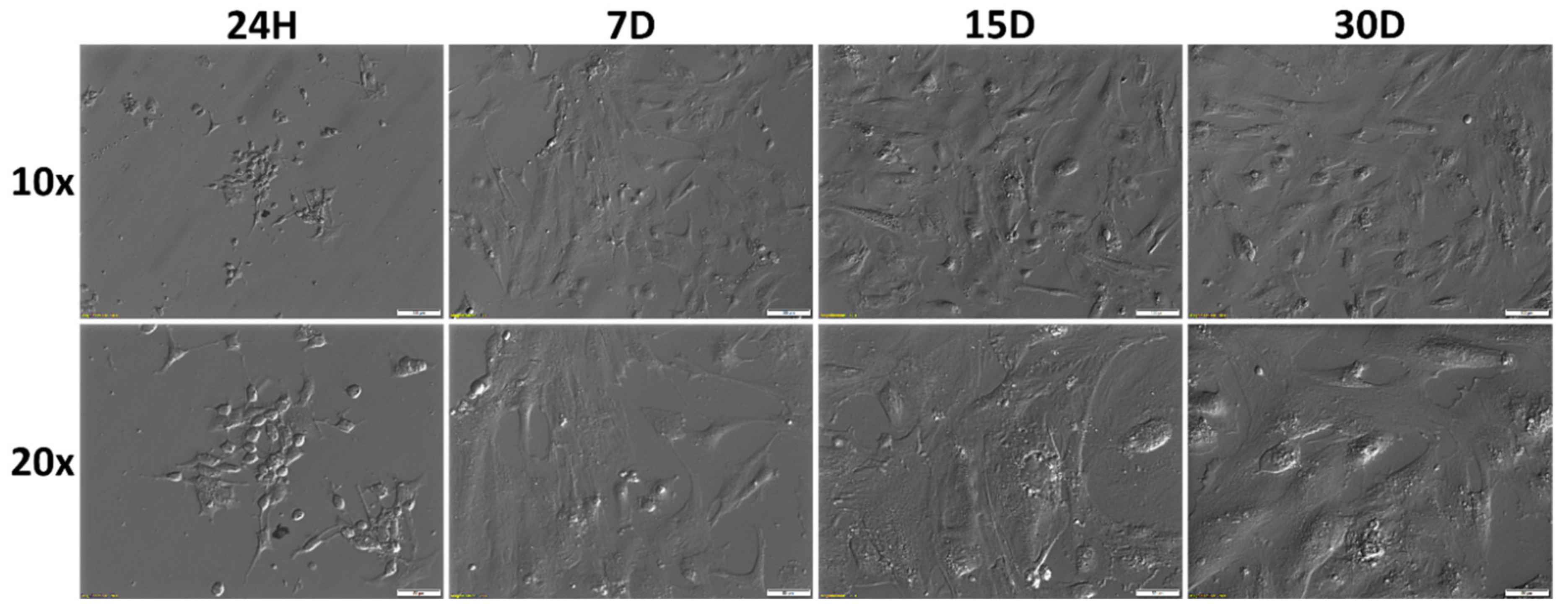 Cells 09 01265 g001 Cells 09 01265 g001