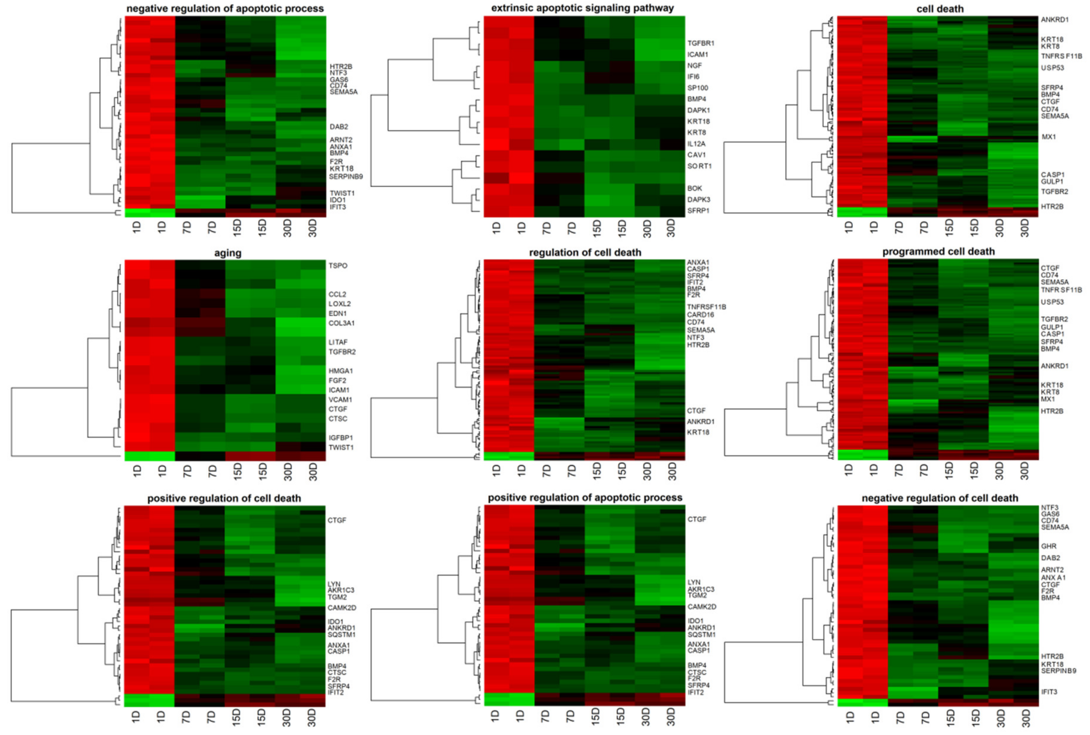 Cells 09 01265 g002 Cells 09 01265 g002