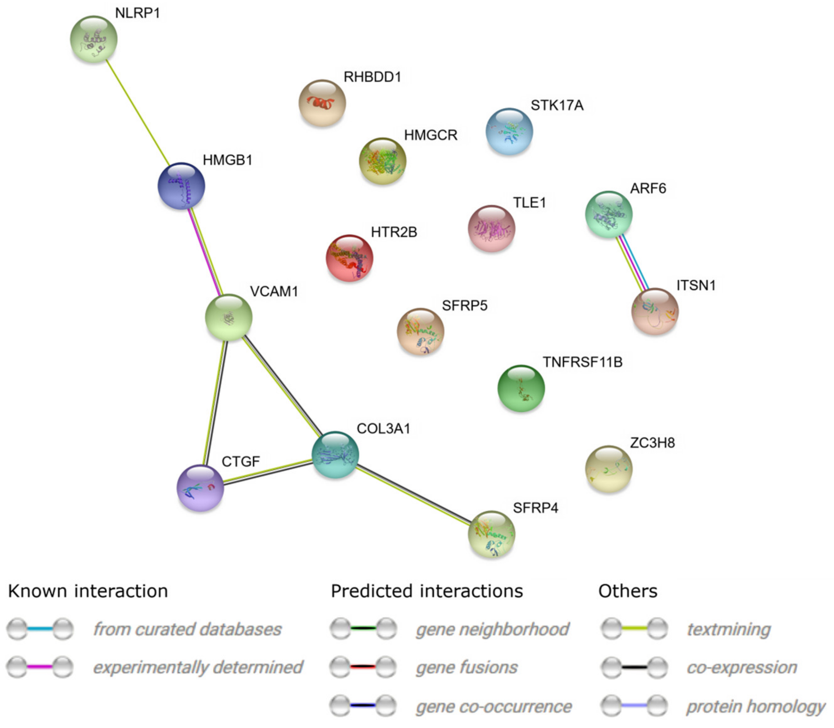 Cells 09 01265 g007 Cells 09 01265 g007