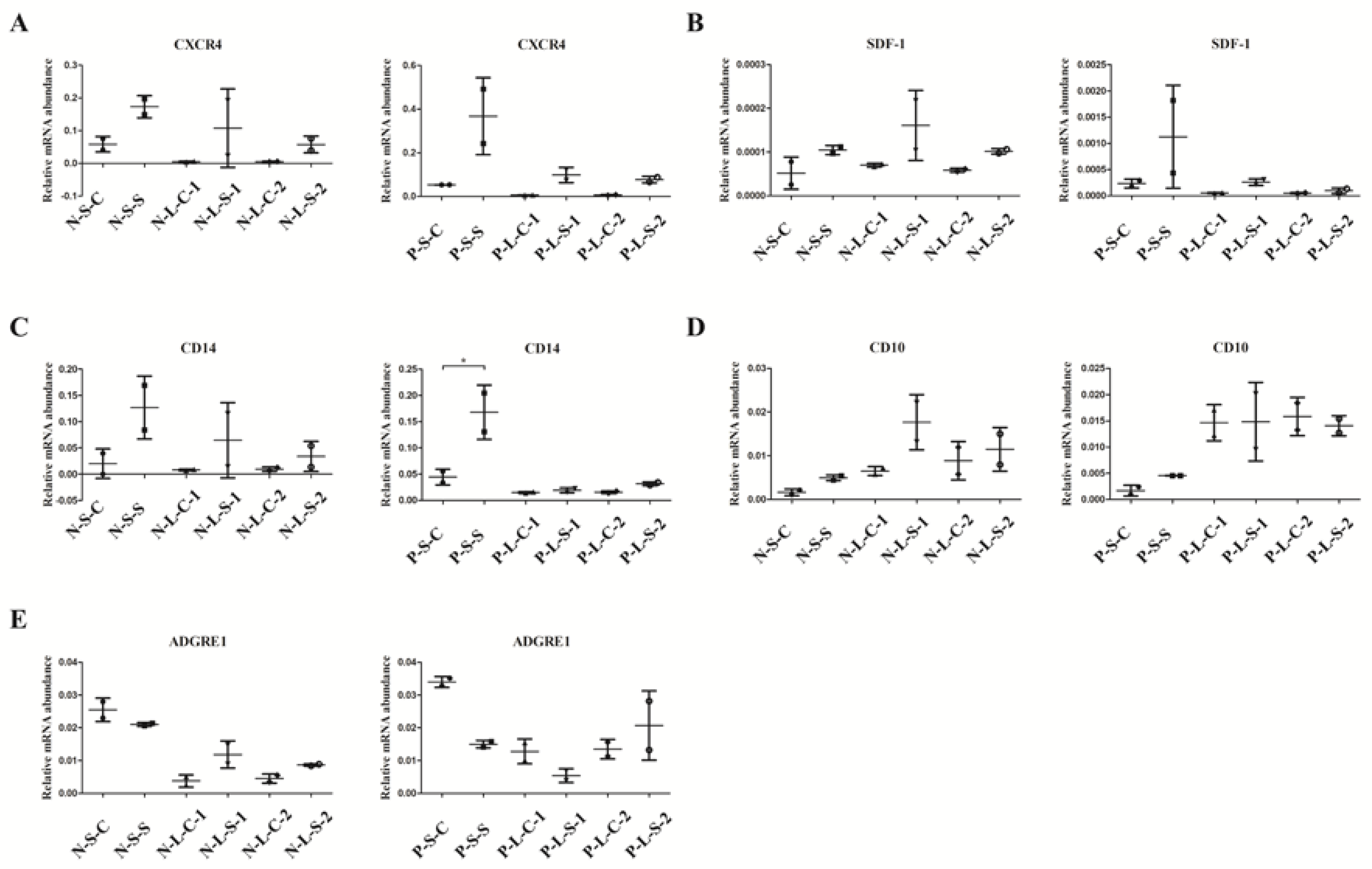 Cells 09 01276 g004 Cells 09 01276 g004