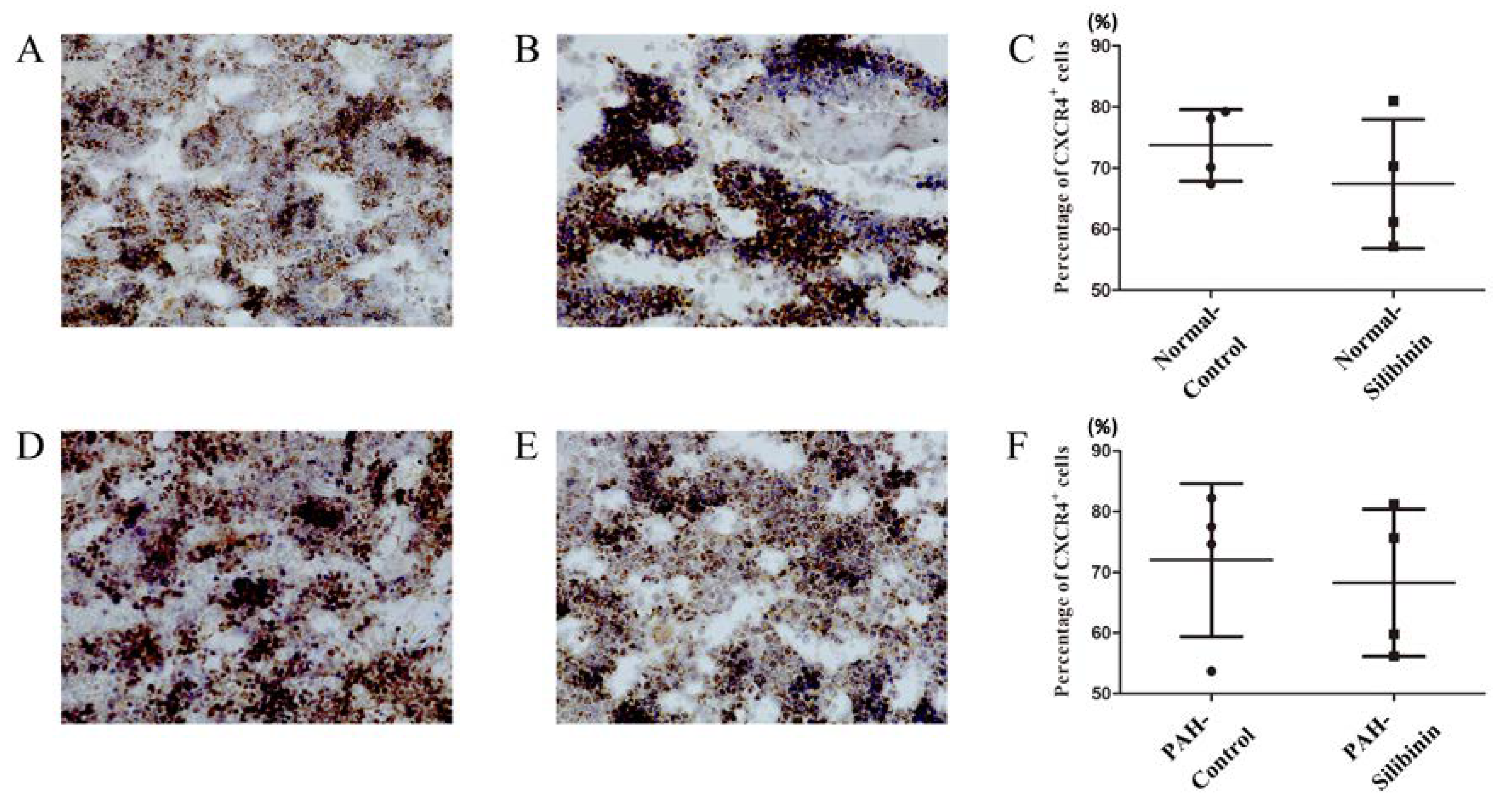 Cells 09 01276 g005 Cells 09 01276 g005