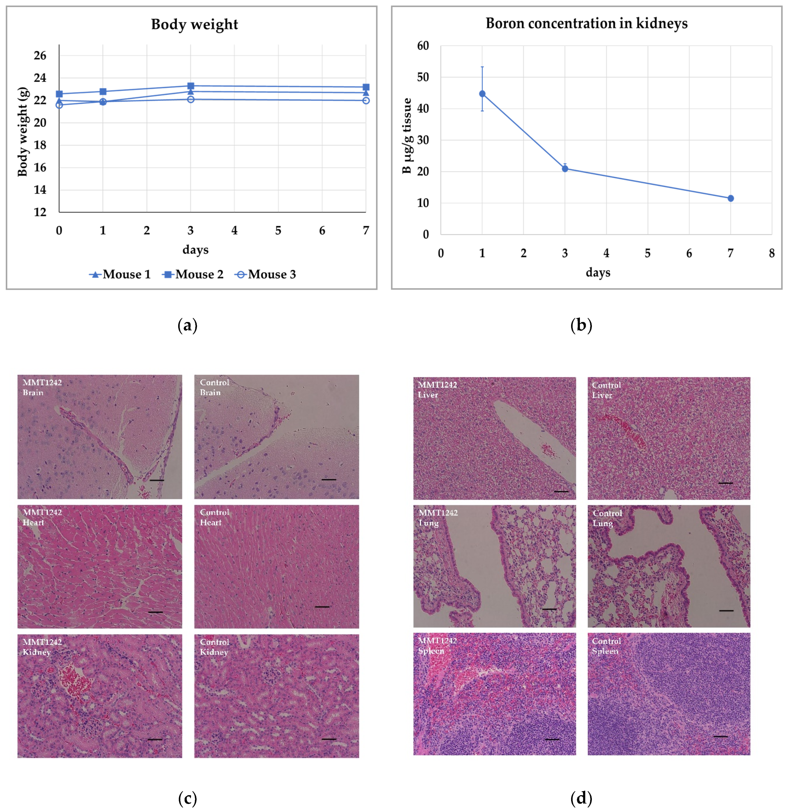 Cells 09 01277 g006 Cells 09 01277 g006