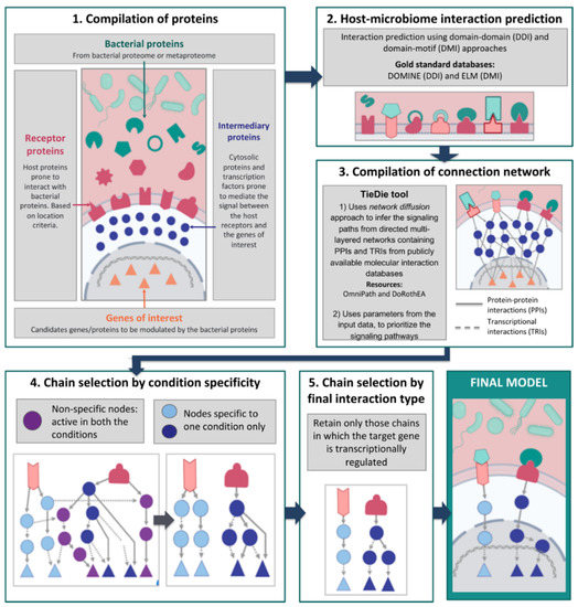 MicrobioLink: An Integrated Computational Pipeline to Infer 