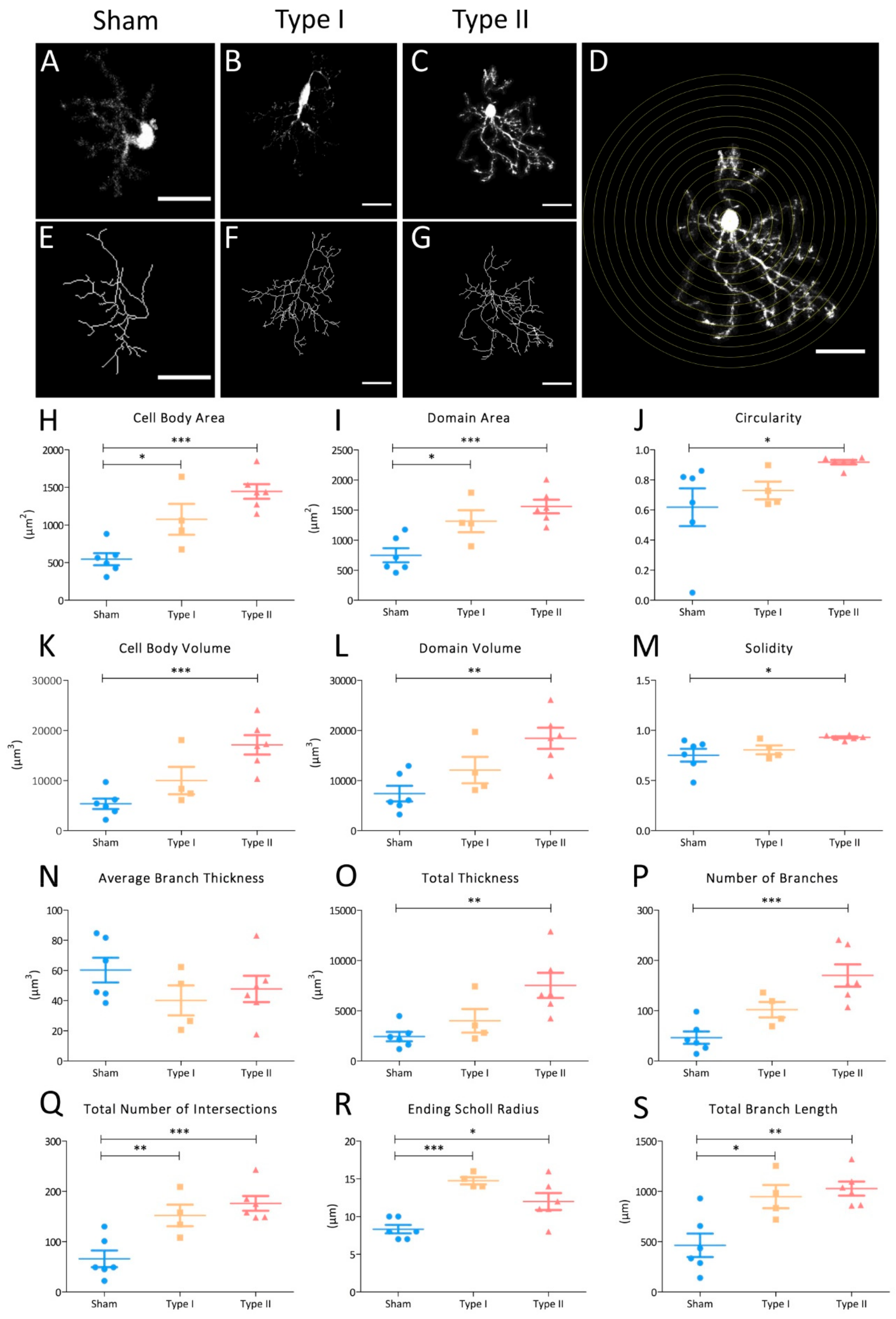 Cells 09 01279 g004 Cells 09 01279 g004