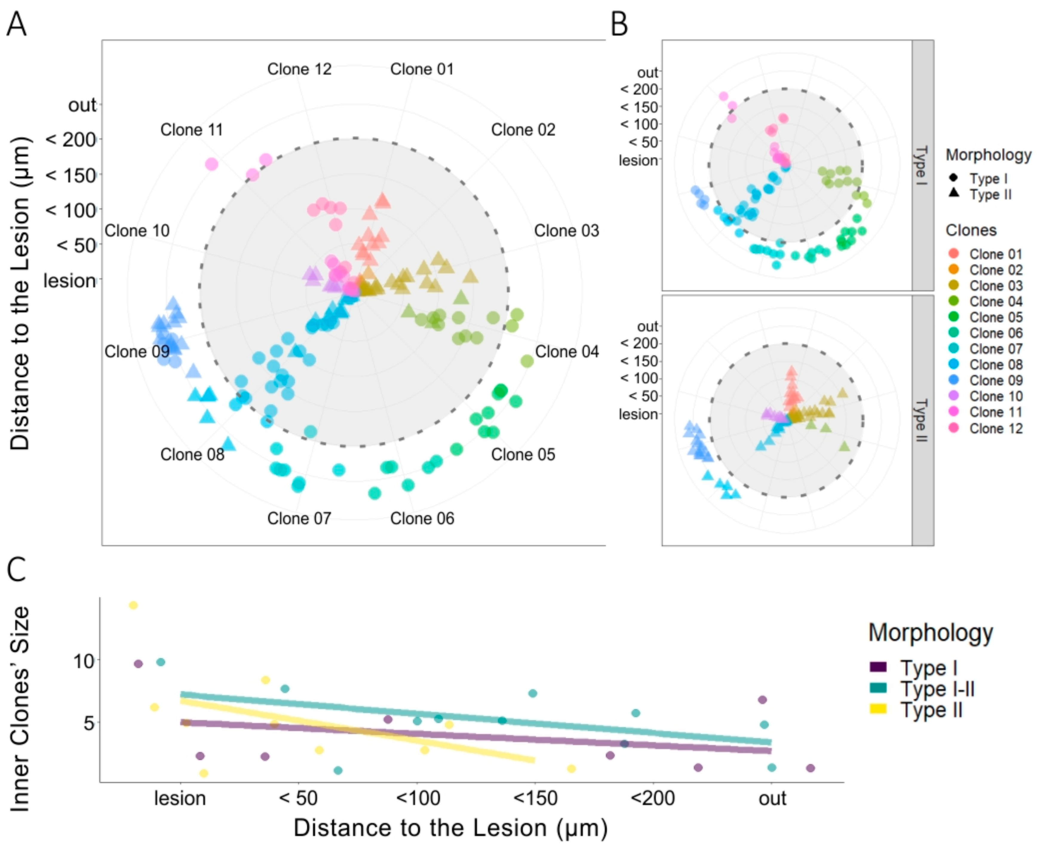 Cells 09 01279 g005 Cells 09 01279 g005
