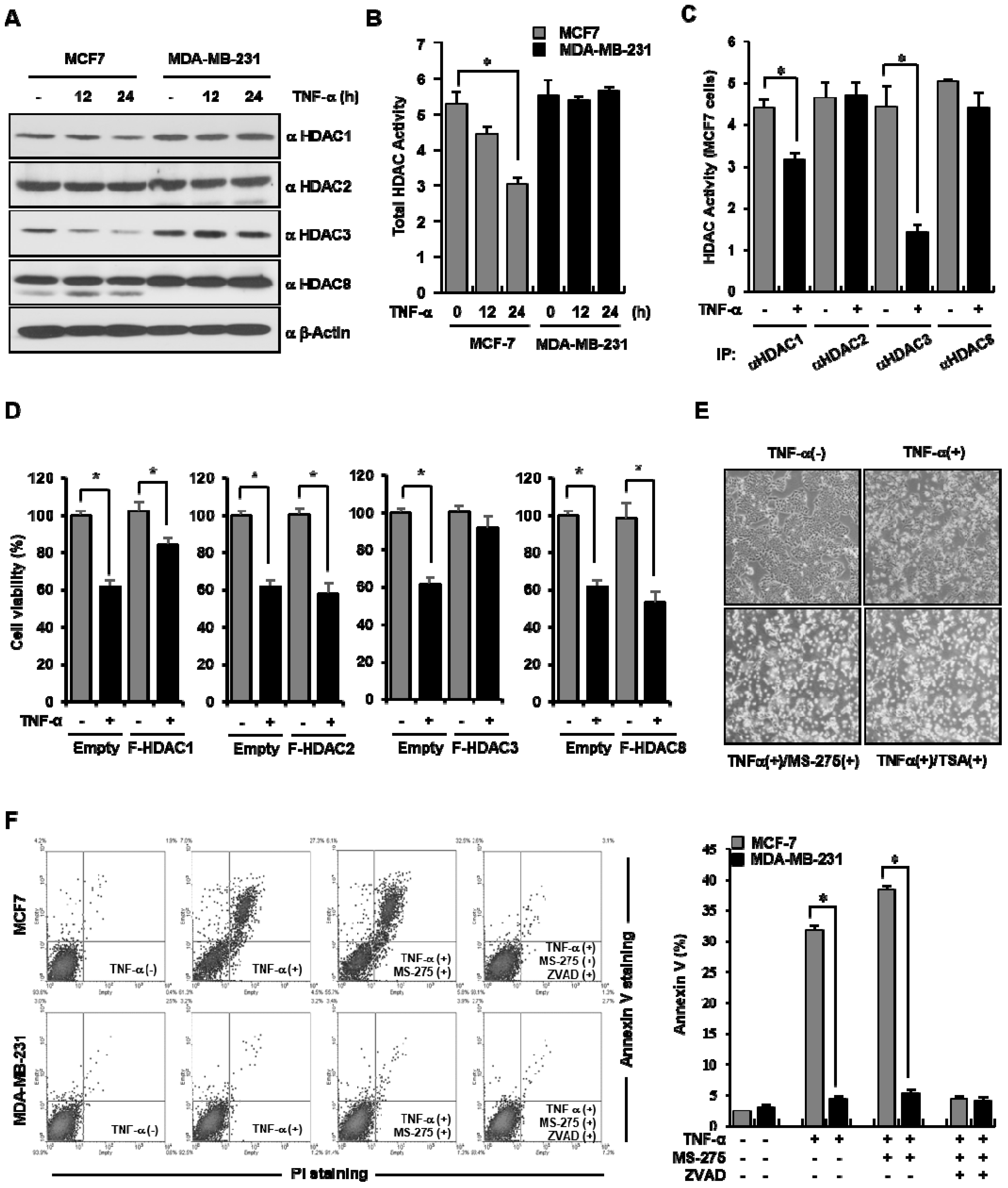 Cells 09 01280 g003 Cells 09 01280 g003