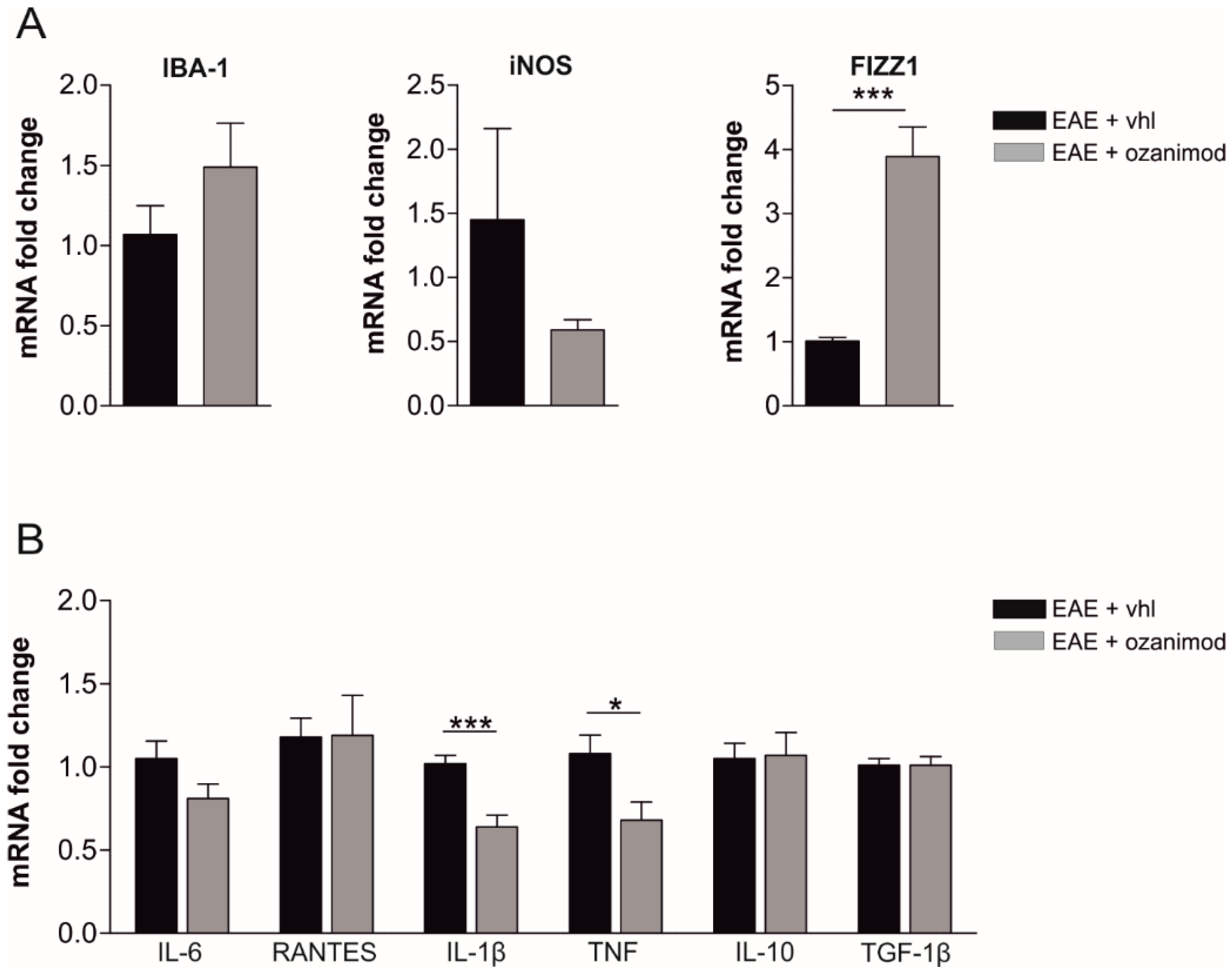 Cells 09 01290 g002 Cells 09 01290 g002
