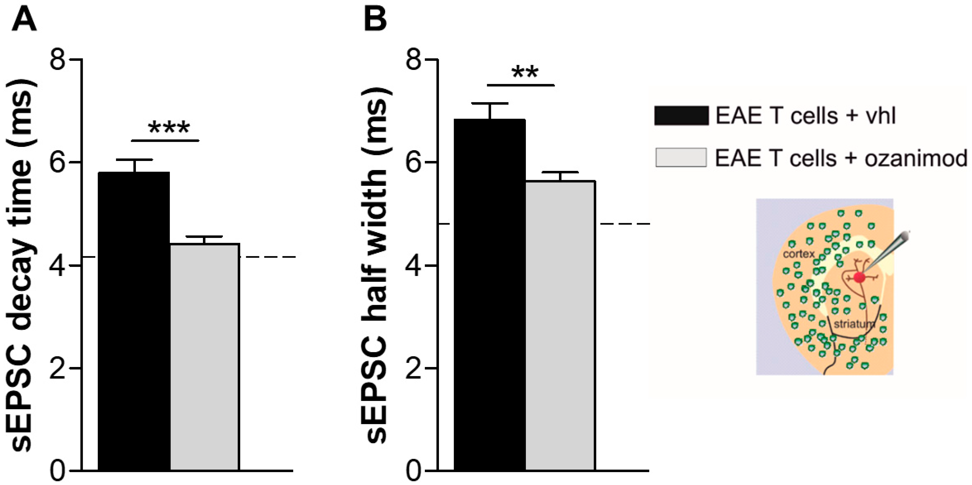 Cells 09 01290 g005 Cells 09 01290 g005