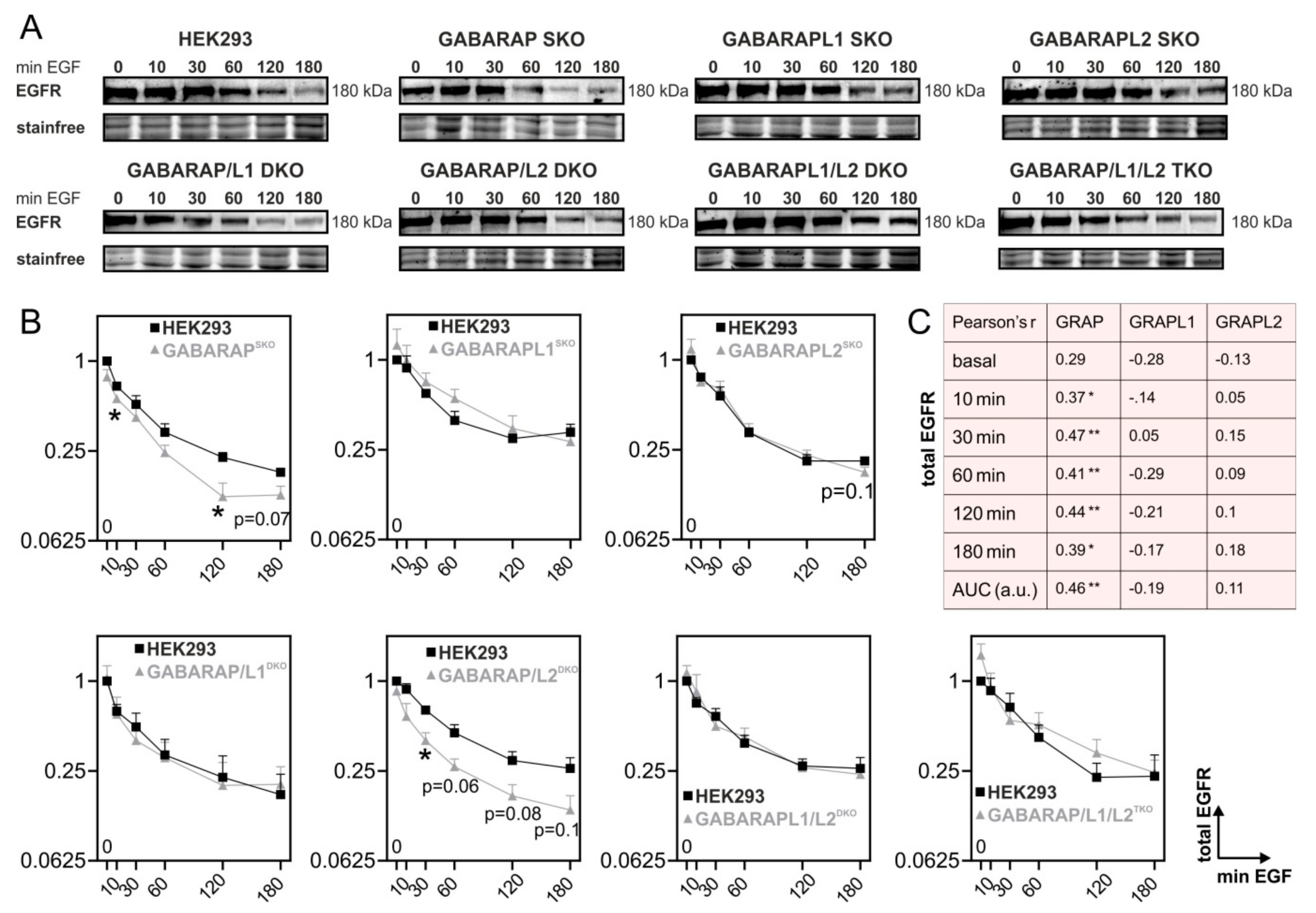 Cells 09 01296 g001 Cells 09 01296 g001