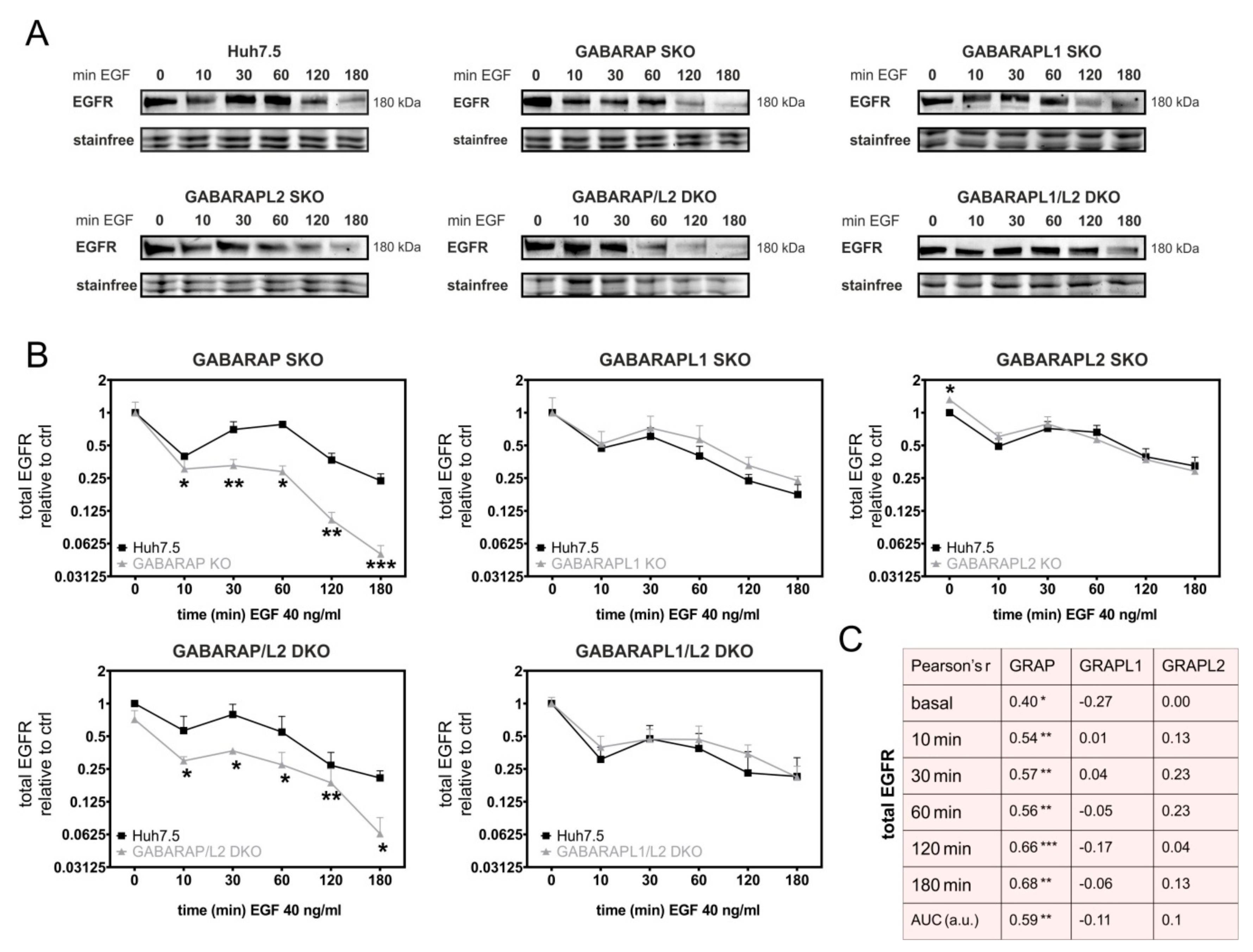 Cells 09 01296 g002 Cells 09 01296 g002