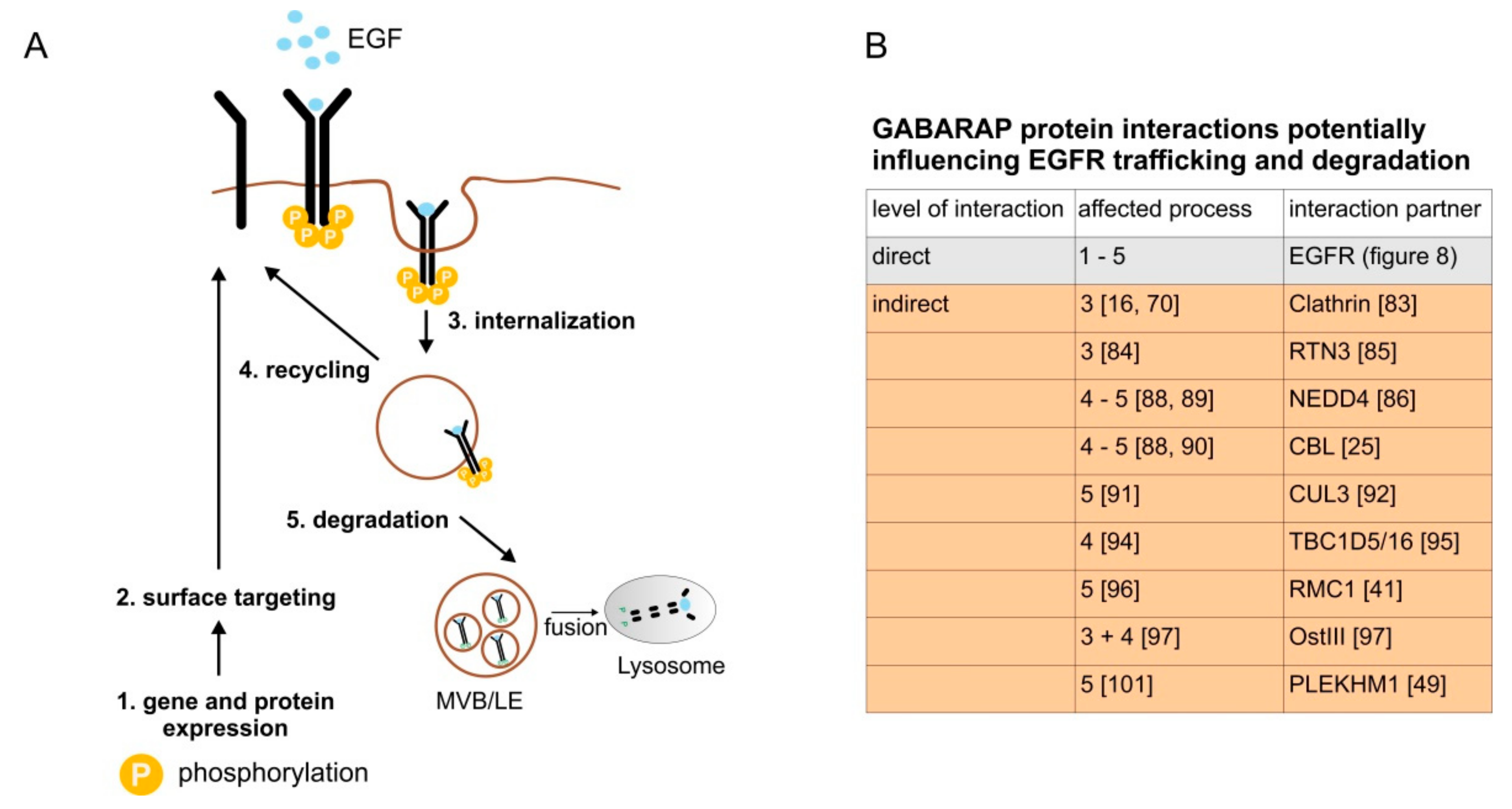 Cells 09 01296 g009 Cells 09 01296 g009