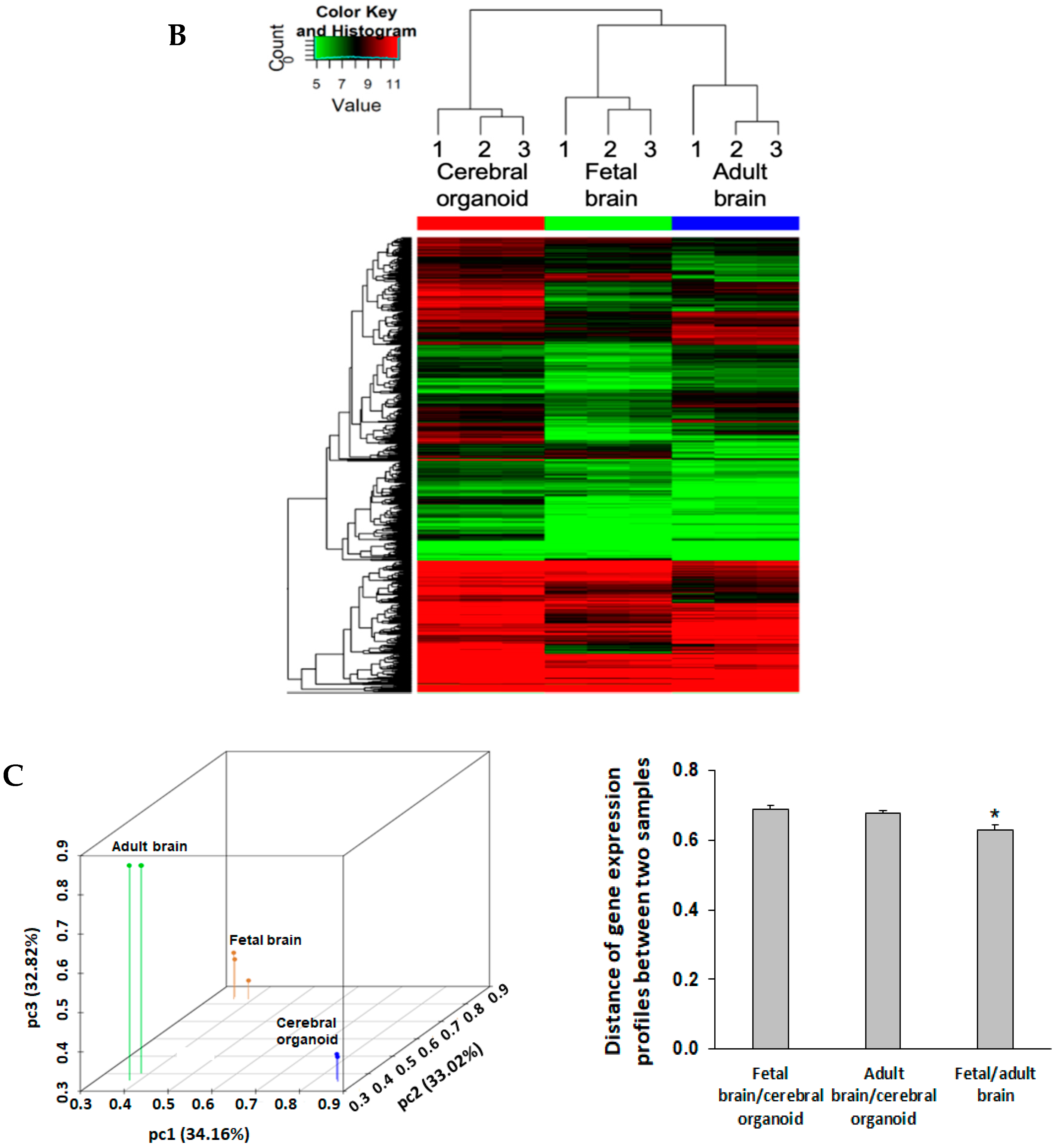 Cells 09 01301 g005b