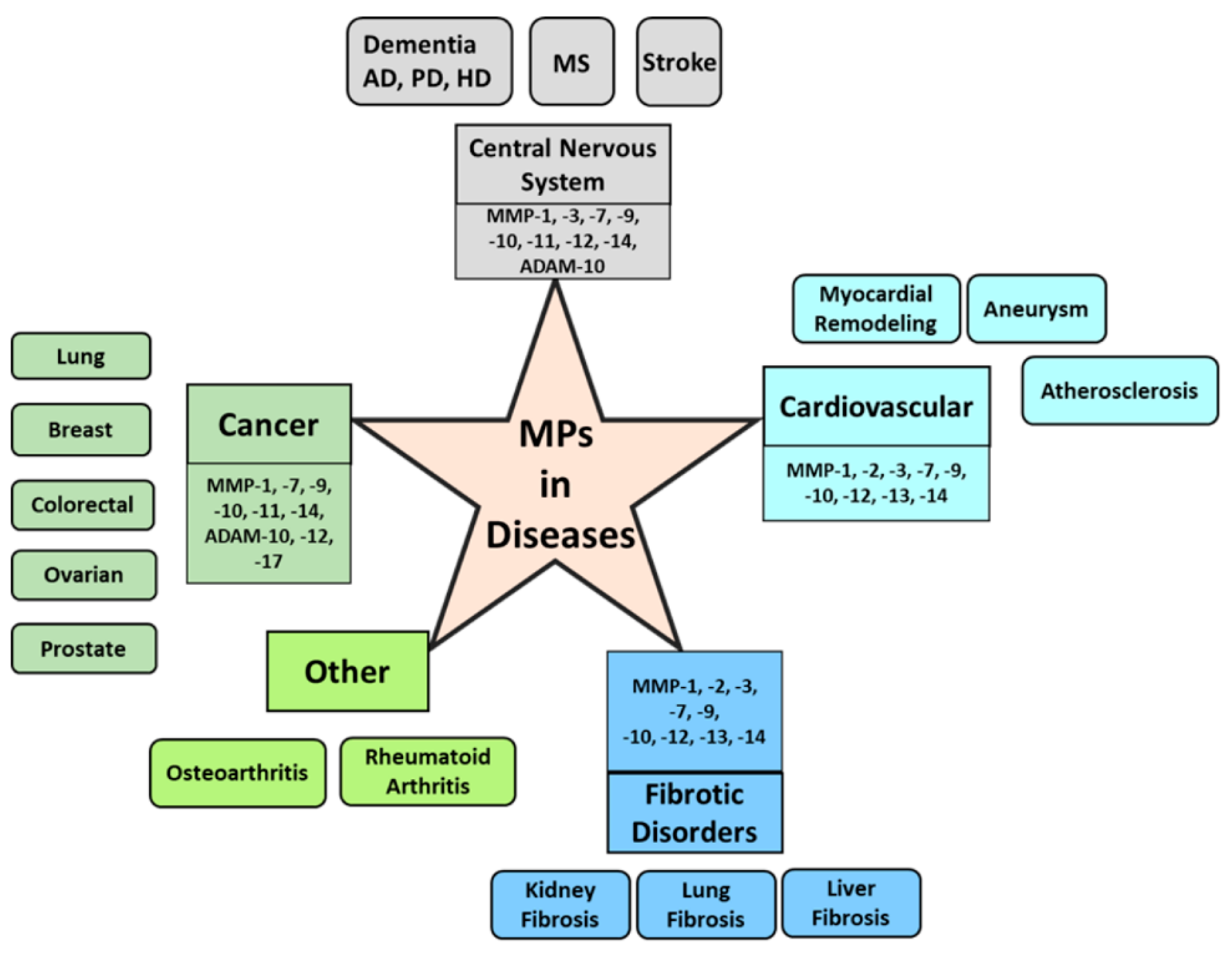Cells 09 01313 g002 Cells 09 01313 g002