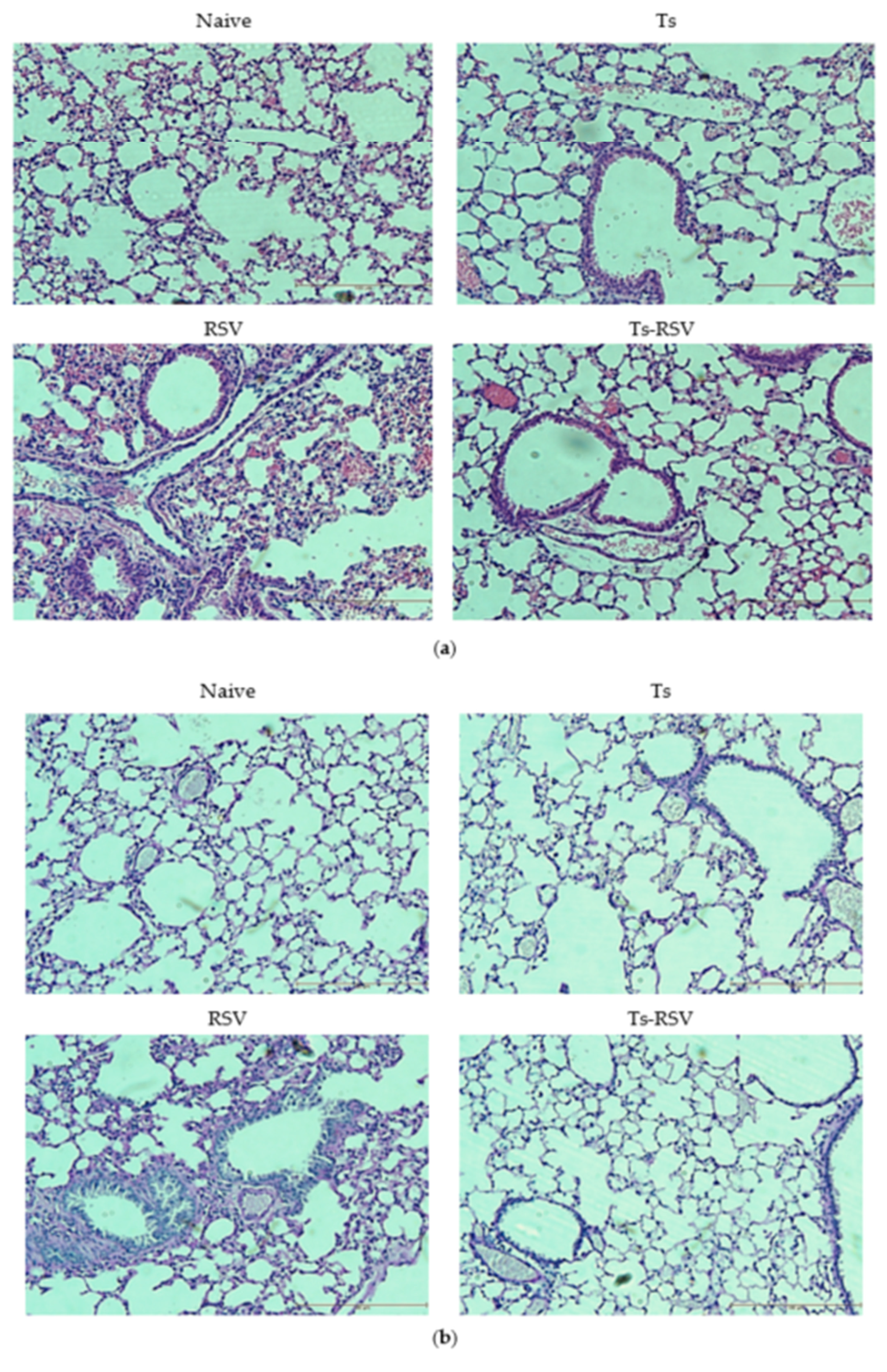 Cells 09 01314 g004a Cells 09 01314 g004a
