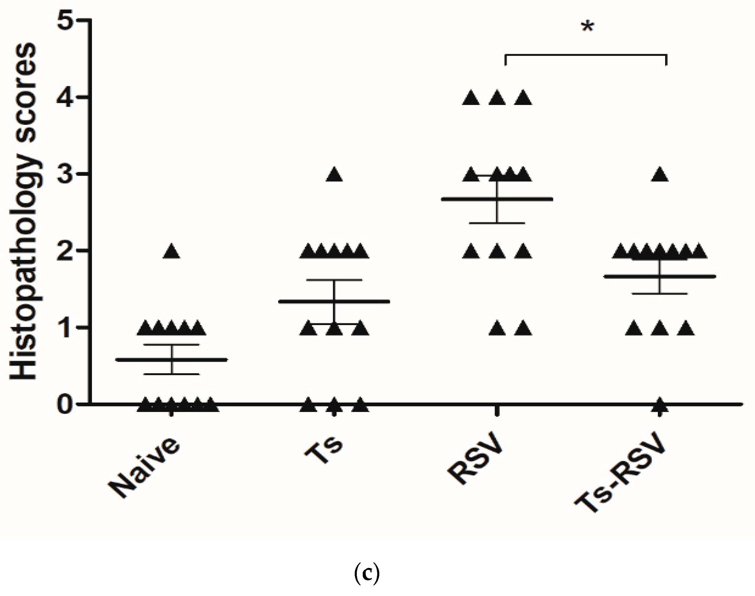 Cells 09 01314 g004b Cells 09 01314 g004b