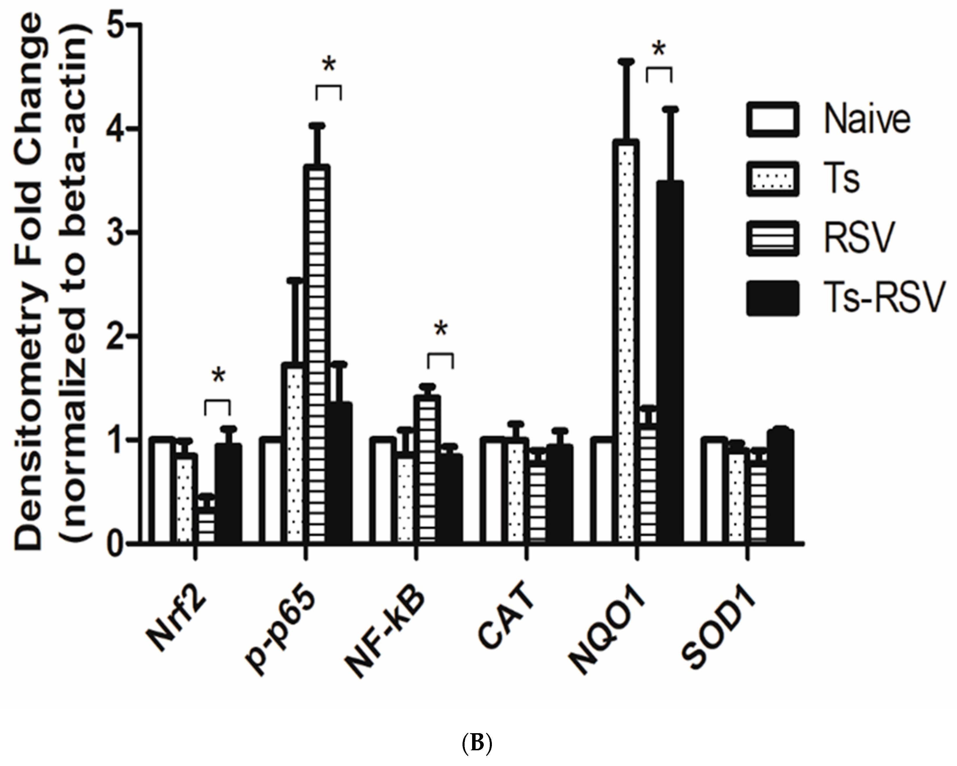 Cells 09 01314 g005b Cells 09 01314 g005b
