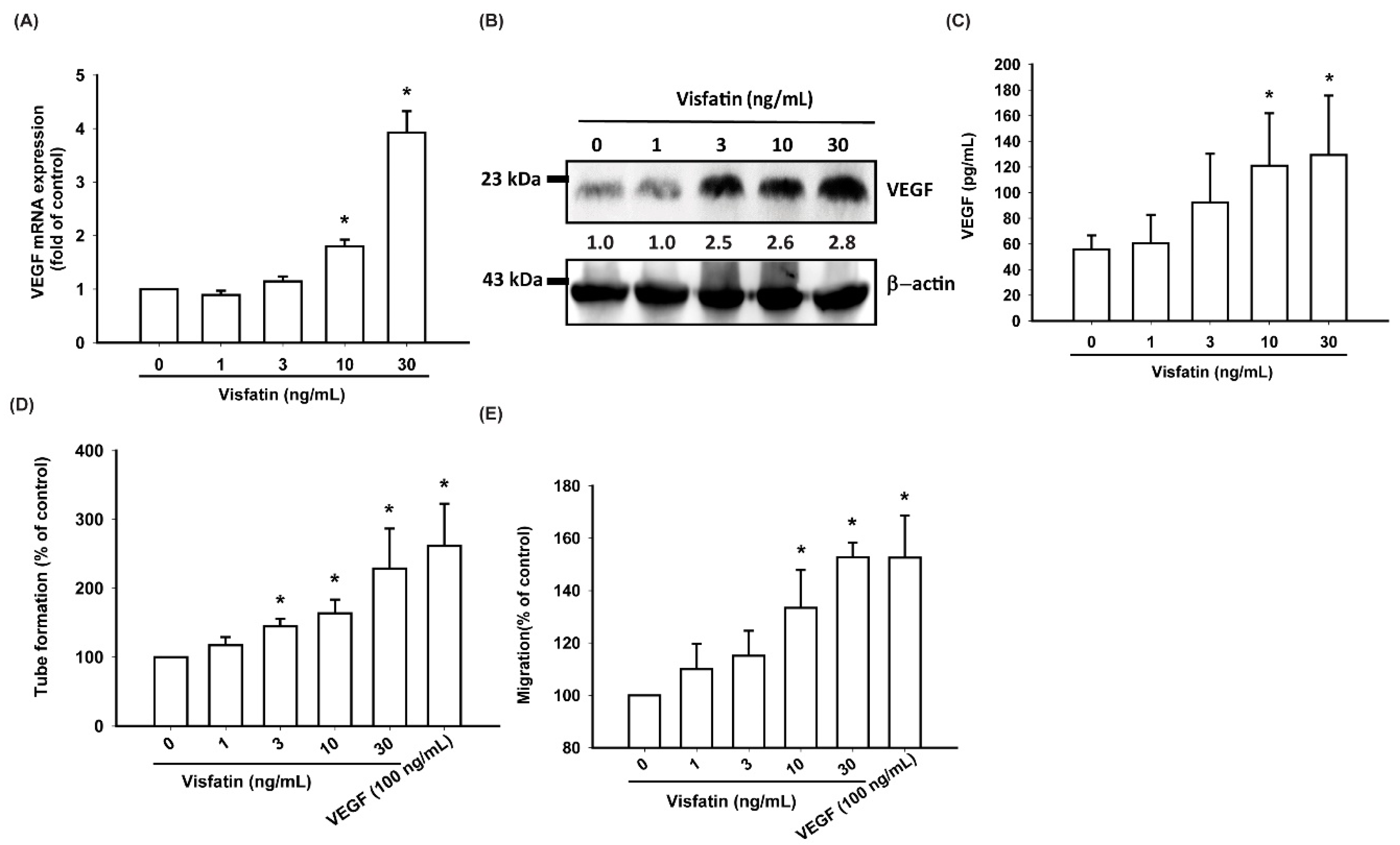 Cells 09 01315 g002 Cells 09 01315 g002