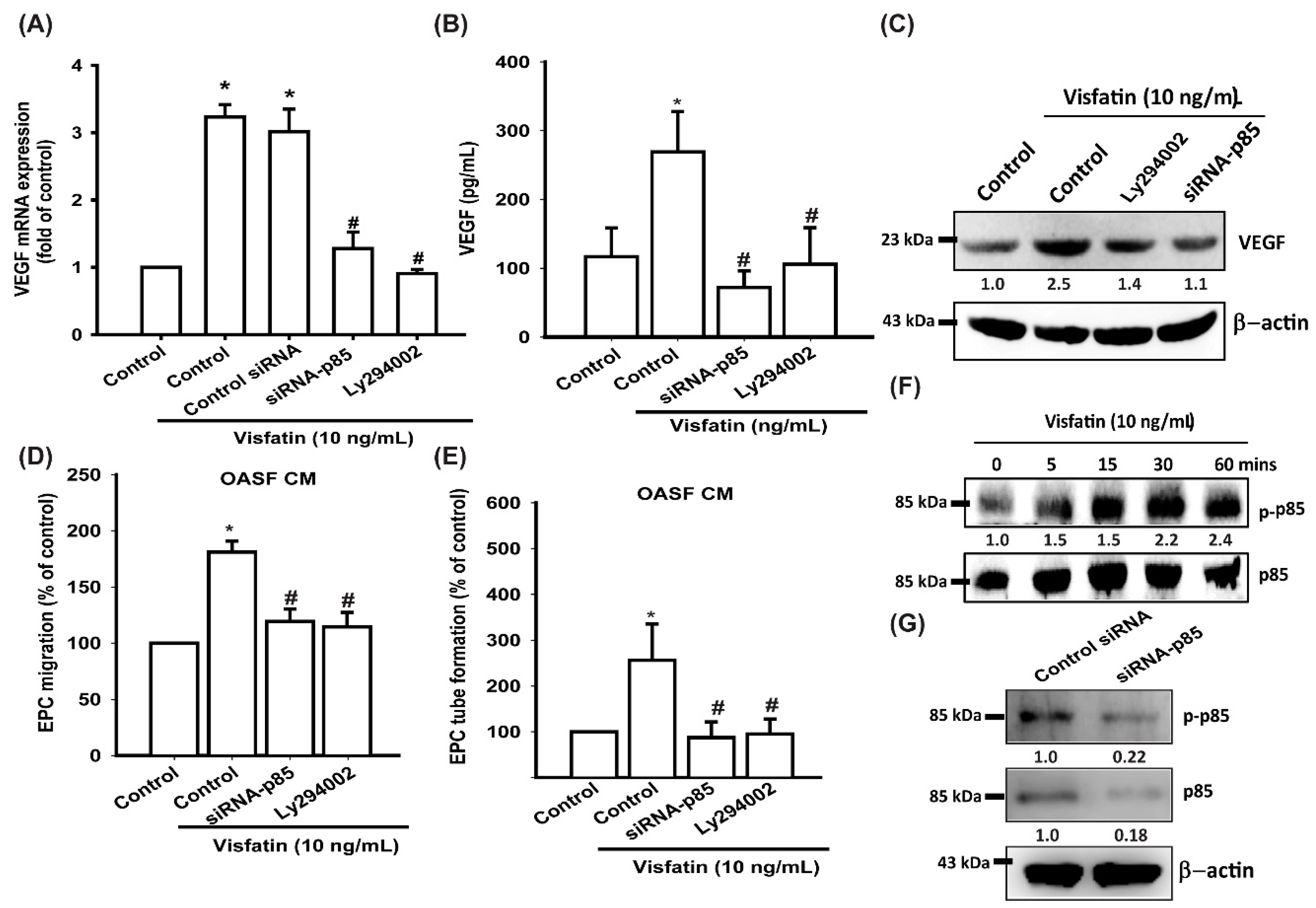 Cells 09 01315 g003 Cells 09 01315 g003