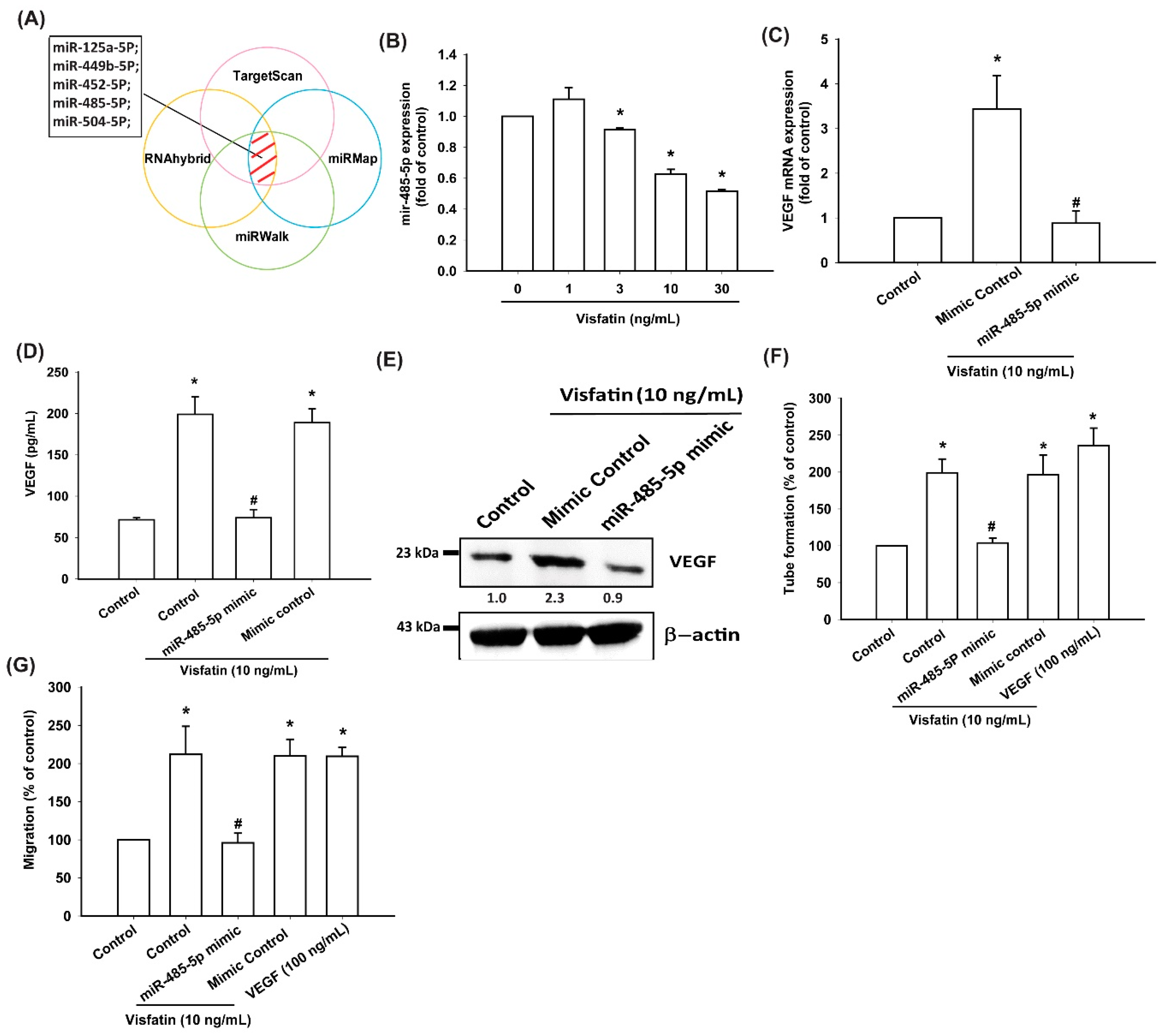 Cells 09 01315 g005 Cells 09 01315 g005