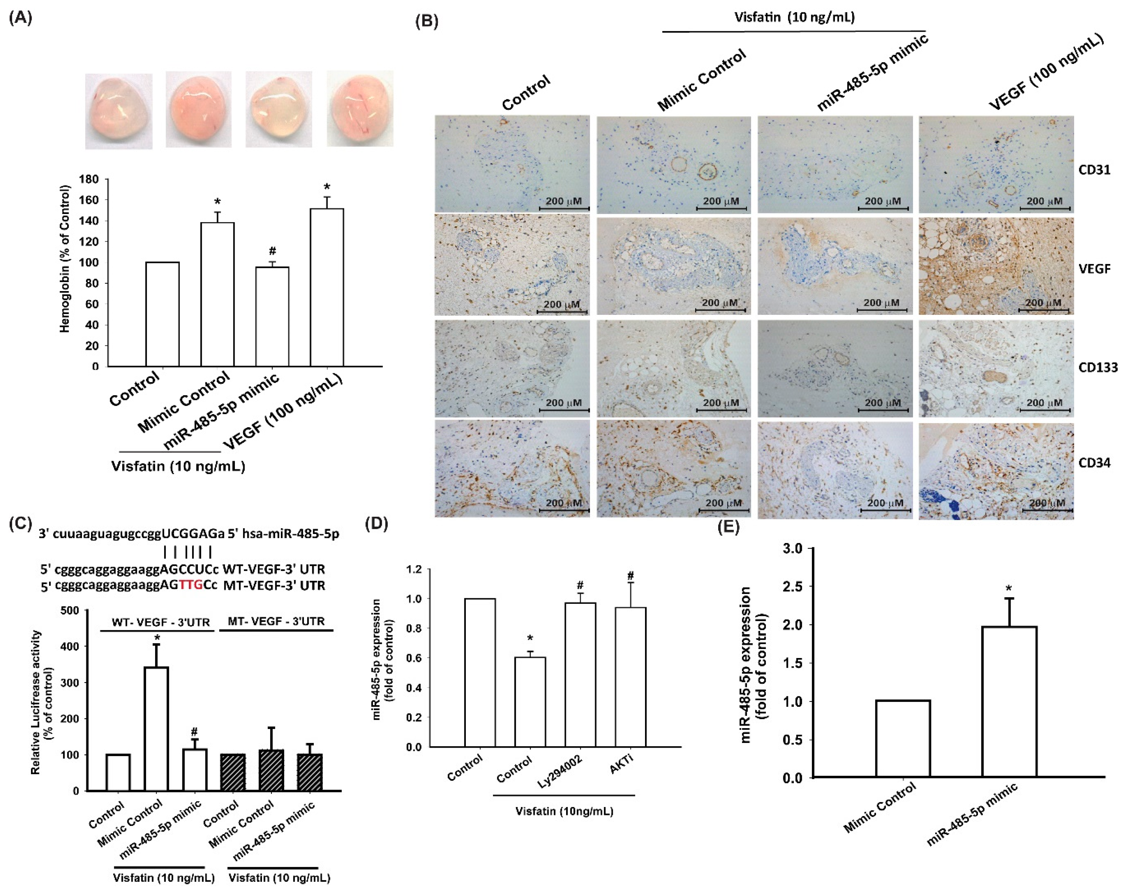 Cells 09 01315 g006 Cells 09 01315 g006