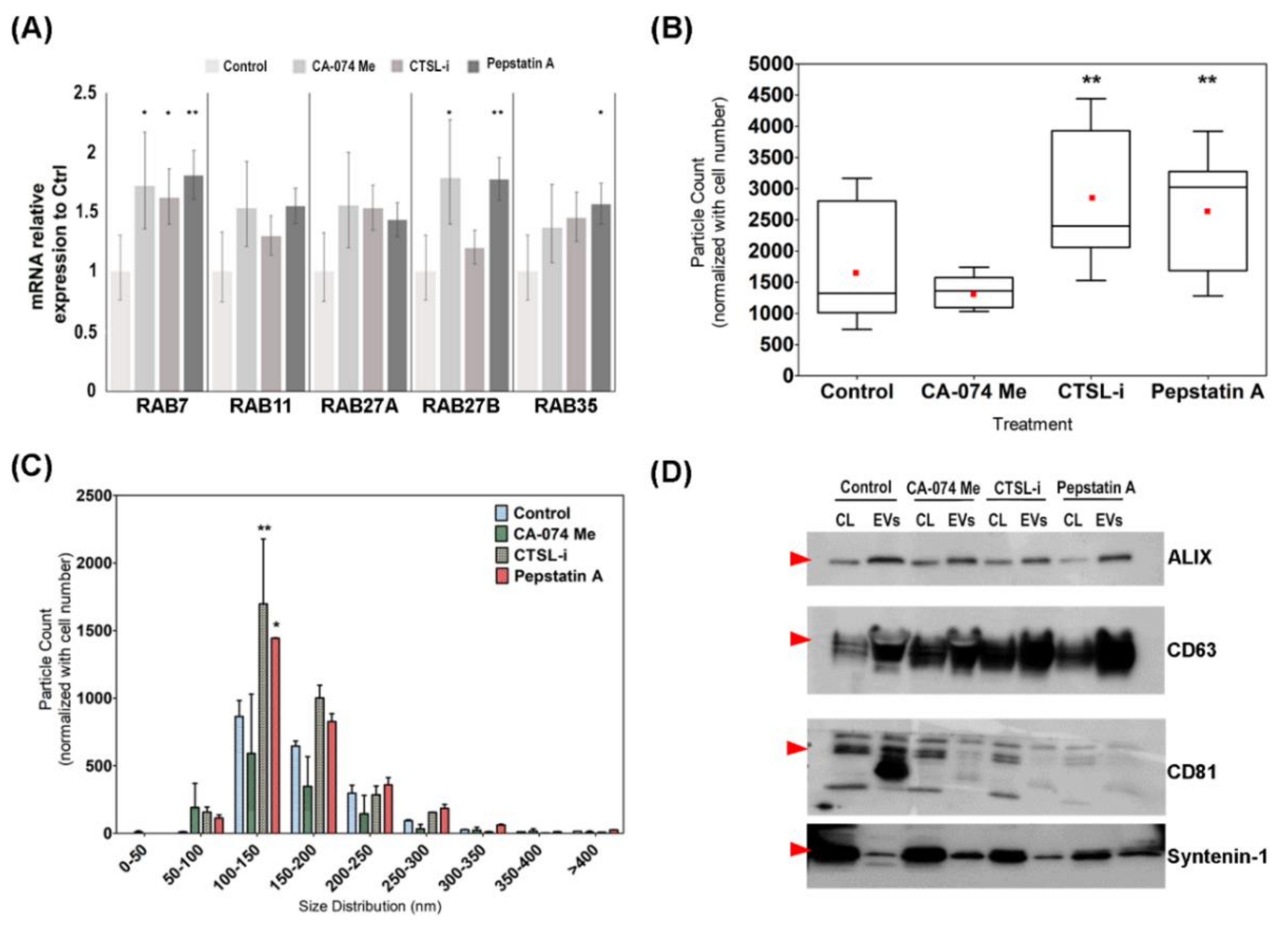 Cells 09 01320 g004 Cells 09 01320 g004