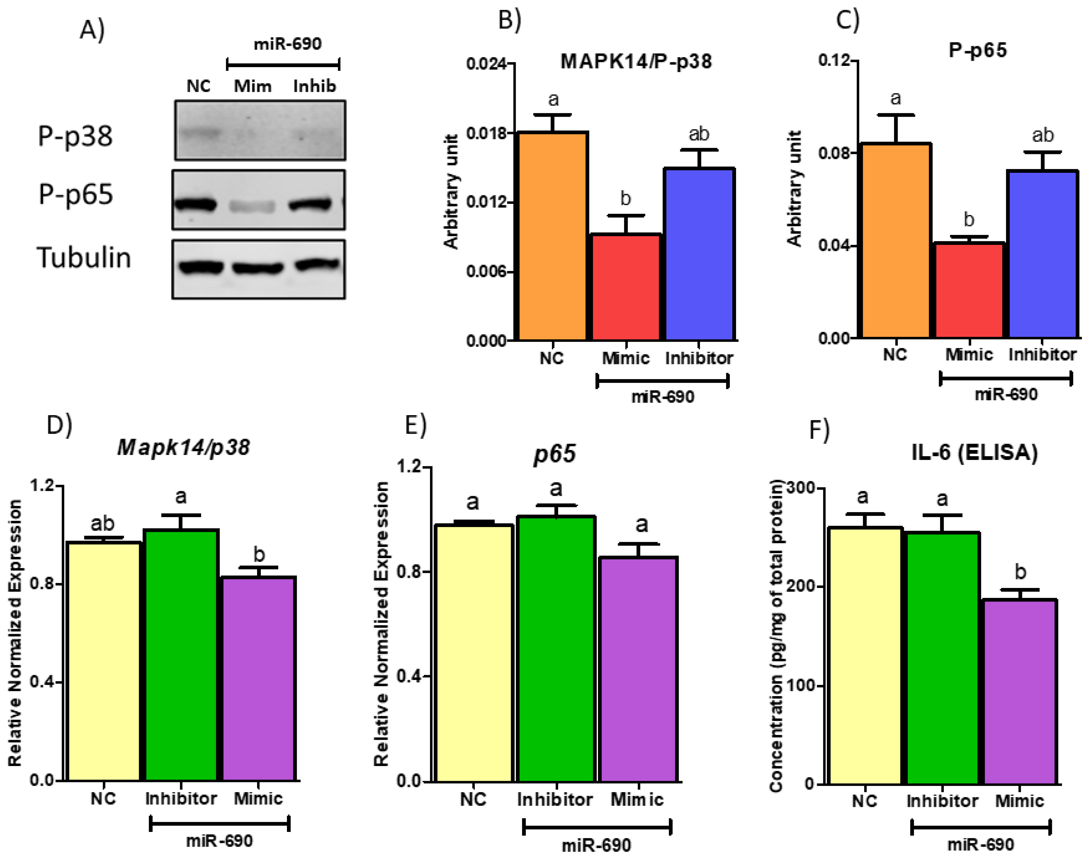 Cells 09 01327 g008 Cells 09 01327 g008