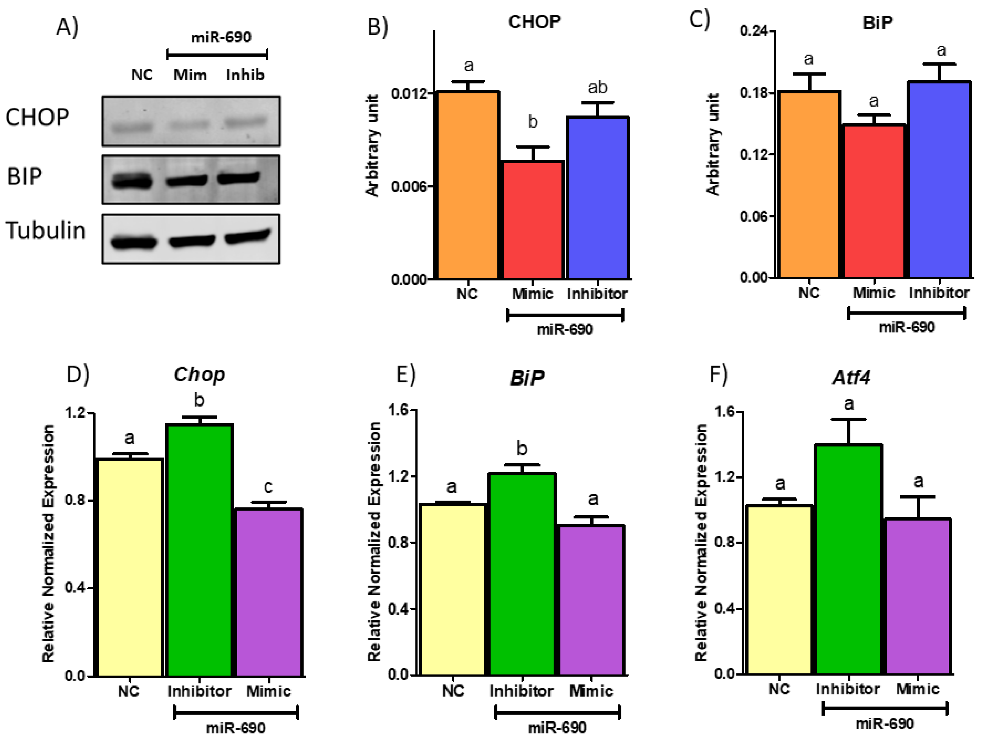 Cells 09 01327 g009 Cells 09 01327 g009