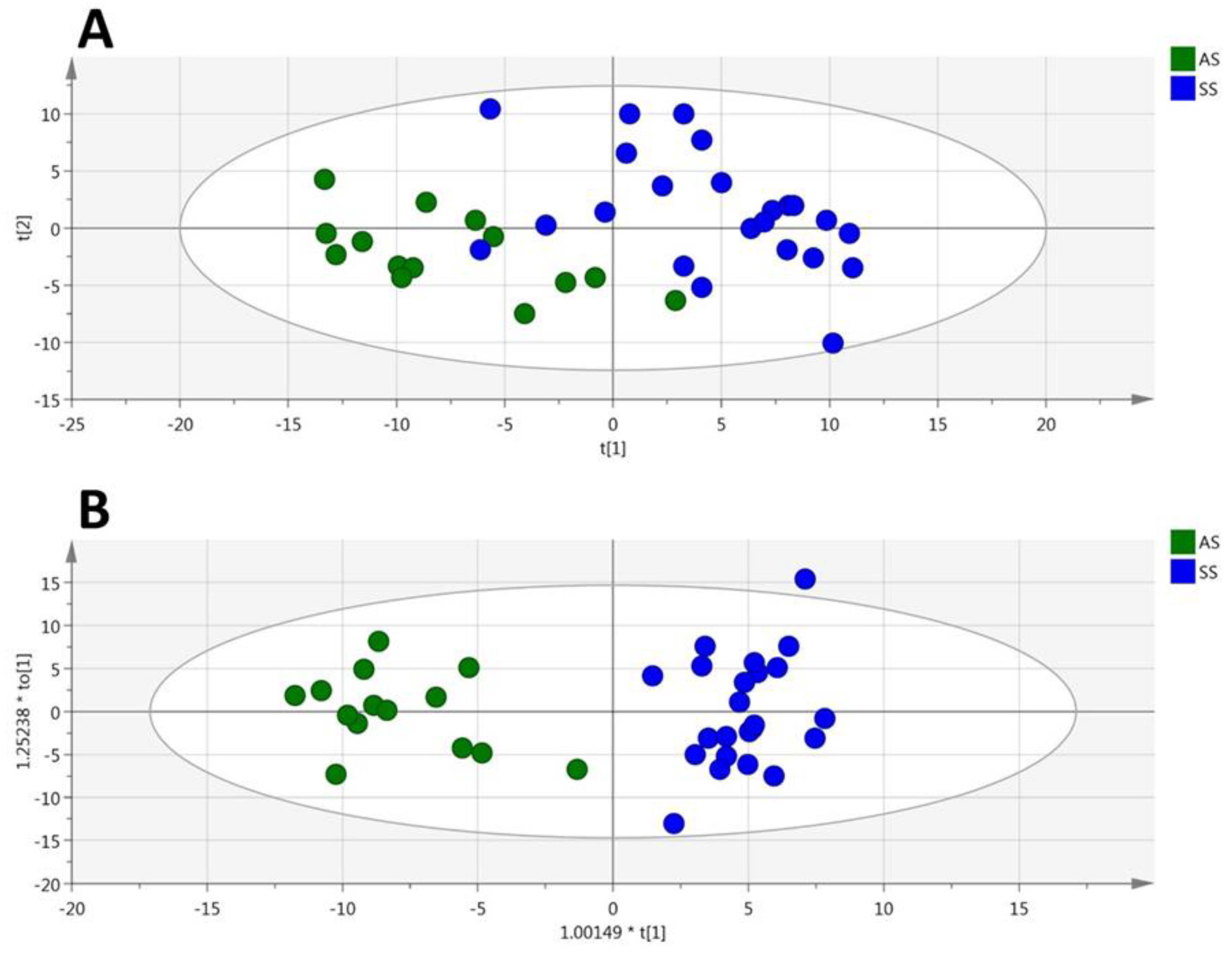 Cells 09 01334 g003 Cells 09 01334 g003