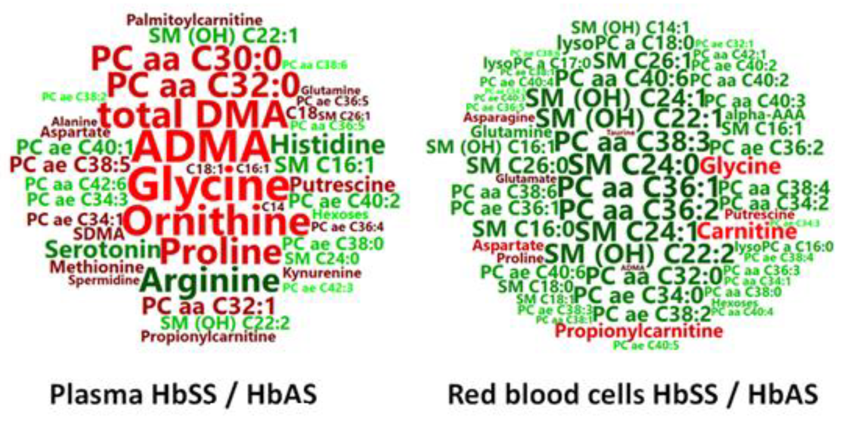 Cells 09 01334 g005 Cells 09 01334 g005